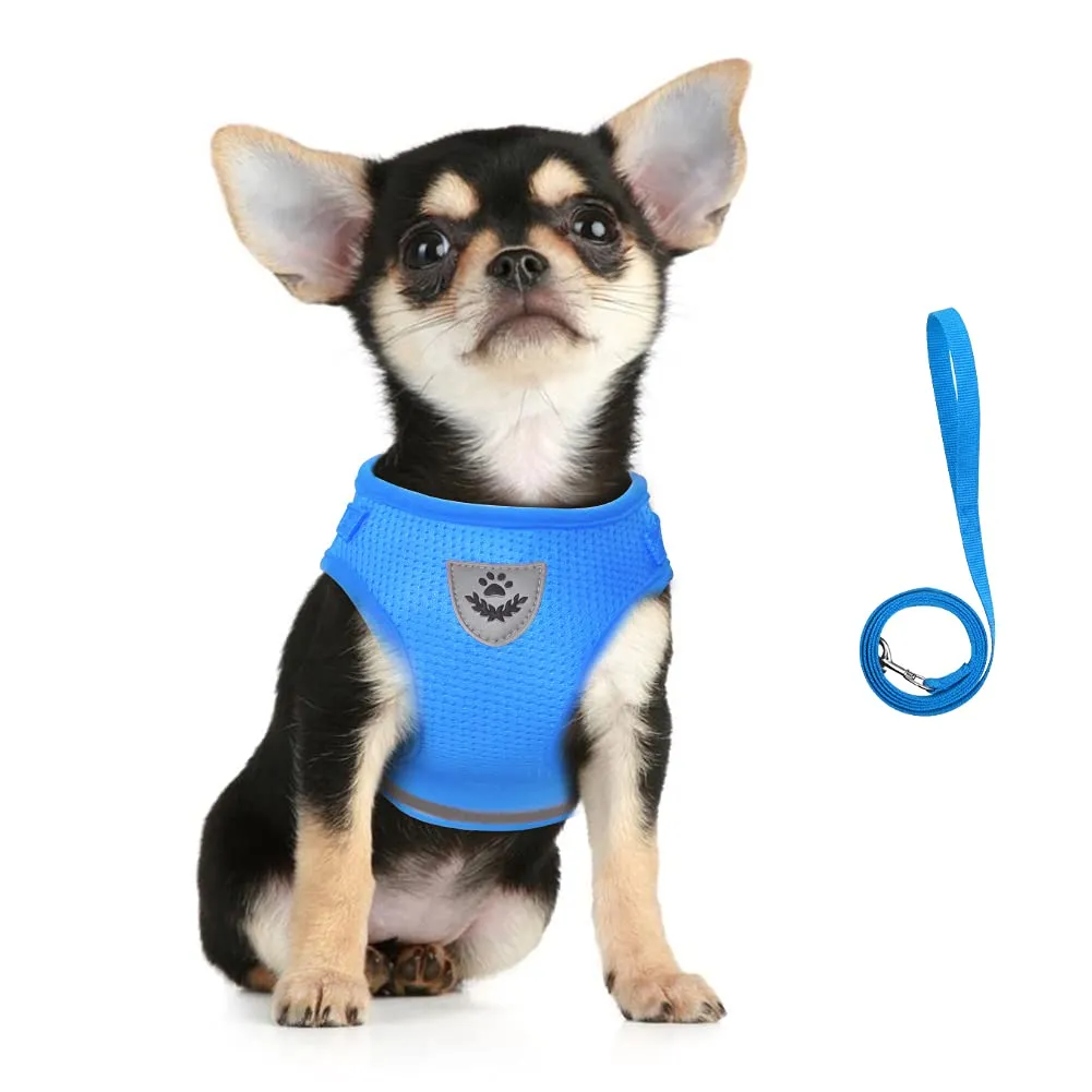 FEimaX Set Imbracatura e Guinzaglio per Cani e Gatti, Pettorina Imbottita Traspirante e Riflettente, XS Azzurro - immagine 4