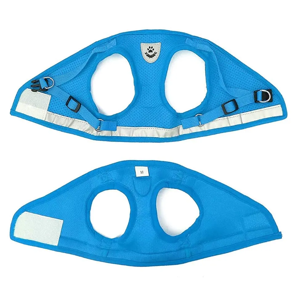 FEimaX Set Imbracatura e Guinzaglio per Cani e Gatti, Pettorina Imbottita Traspirante e Riflettente, XS Azzurro - immagine 6