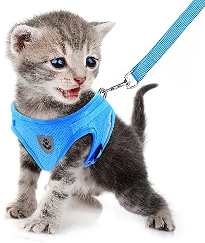 FEimaX Set Imbracatura e Guinzaglio per Cani e Gatti, Pettorina Imbottita Traspirante Regolabile e Riflettente, Azzurro, M (Torace 35-40cm) - immagine 4