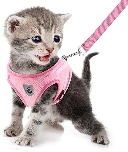 FEimaX Set Imbracatura e Guinzaglio per Cani e Gatti, Pettorina Imbottita Traspirante e Riflettente, Rosa, XS (Torace 26-29cm) - immagine 1