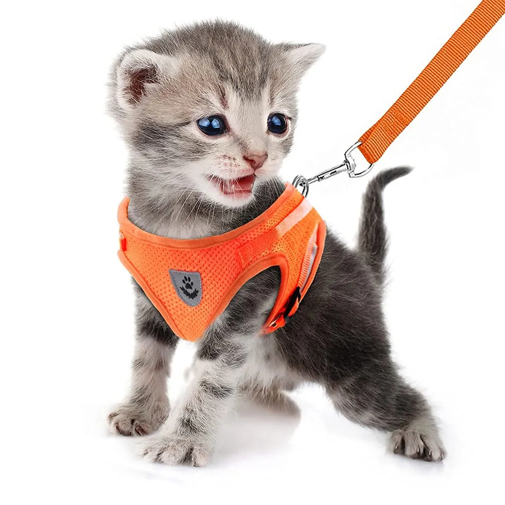 FEimaX Set Imbracatura e Guinzaglio per Cani e Gatti, Imbottita, Traspirante e Riflettente, Arancia, S (Torace 30-34cm) - immagine 2