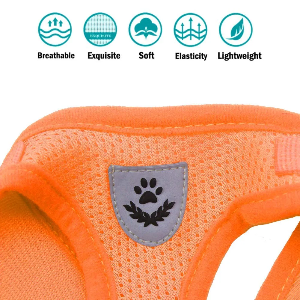FEimaX Set Imbracatura e Guinzaglio per Cani e Gatti, Imbottita, Traspirante e Riflettente, Arancia, S (Torace 30-34cm) - immagine 6