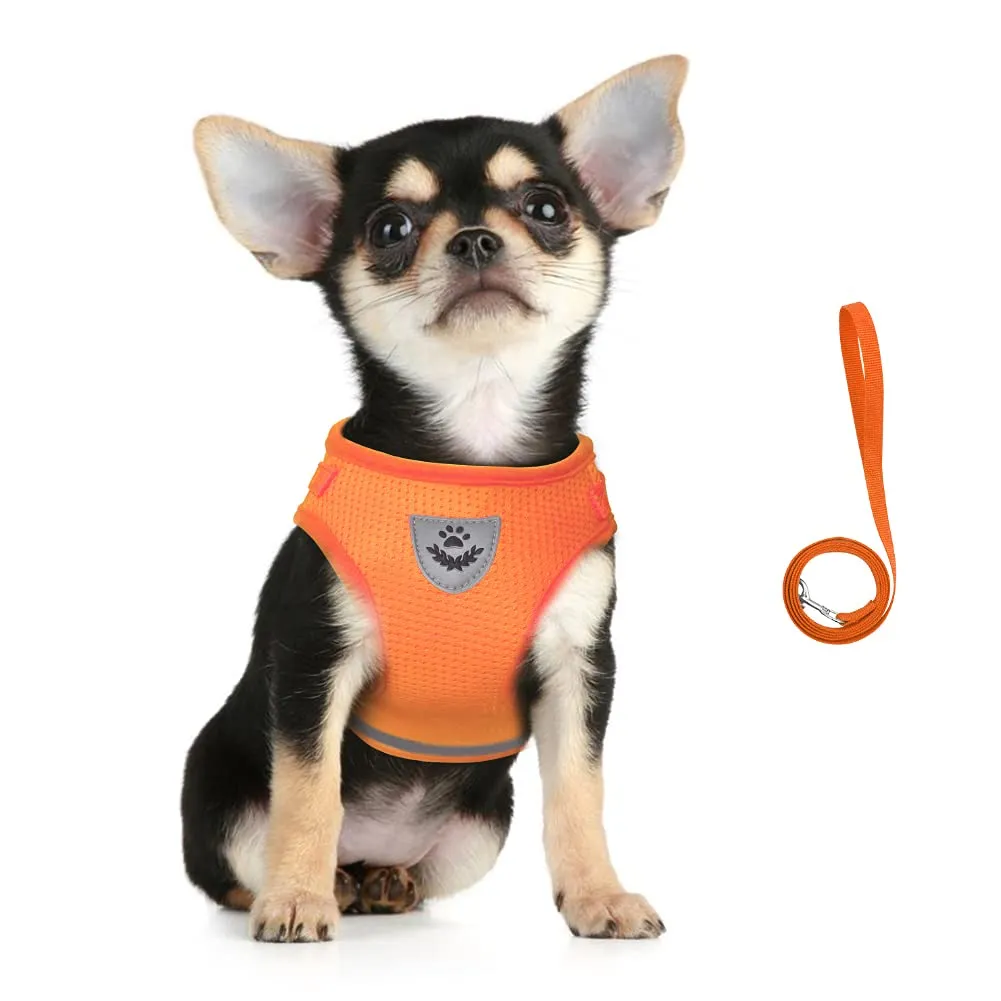 FEimaX Set Imbracatura e Guinzaglio per Cani e Gatti, Pettorina Imbottita Traspirante Regolabile e Riflettente, Arancia, M (Torace 35-40cm) - immagine 1