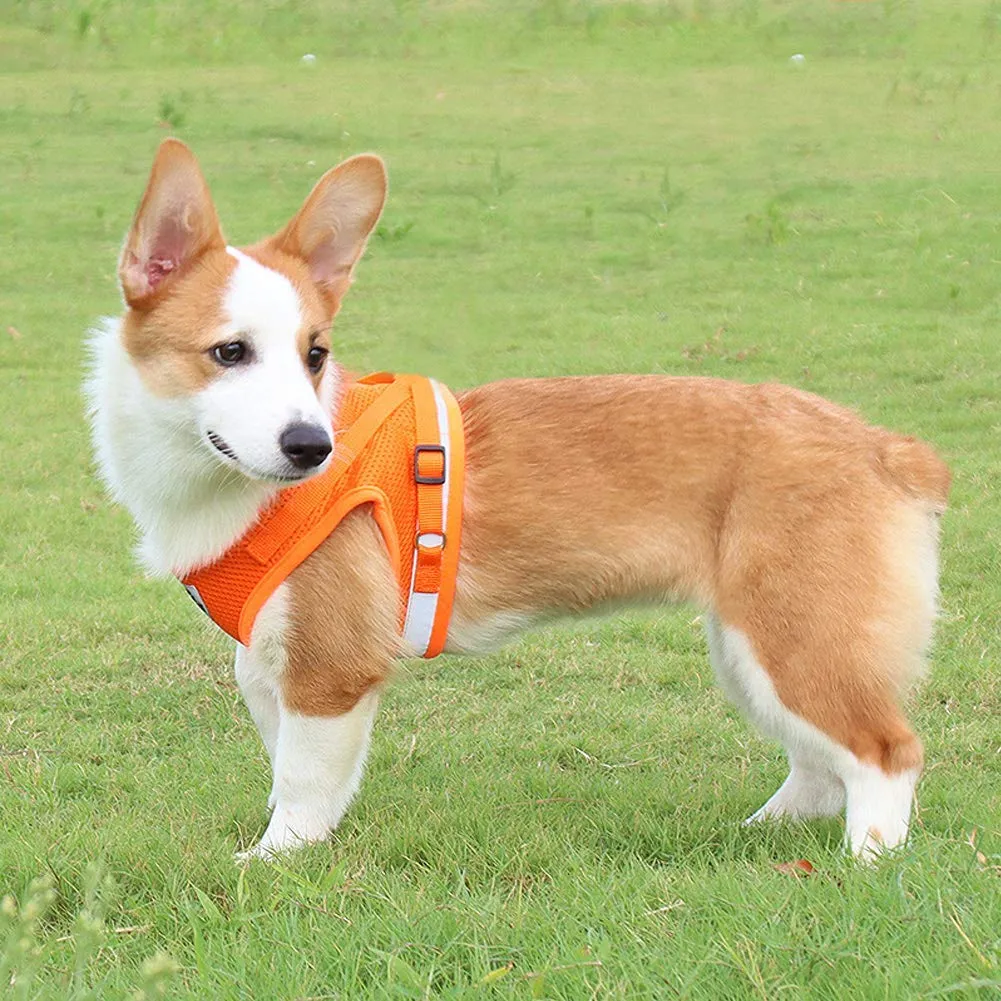 FEimaX Set Imbracatura e Guinzaglio per Cani e Gatti, Imbottita, Traspirante, Riflettente, Arancia, XS (Torace 26-29cm) - immagine 7