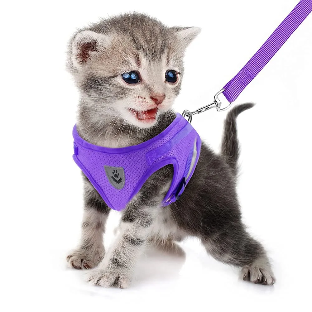 FEimaX Set Imbracatura e Guinzaglio per Cani e Gatti, Pettorina Imbottita Traspirante Riflettente e Regolabile, Viola, XS (Torace 26-29cm) - immagine 1