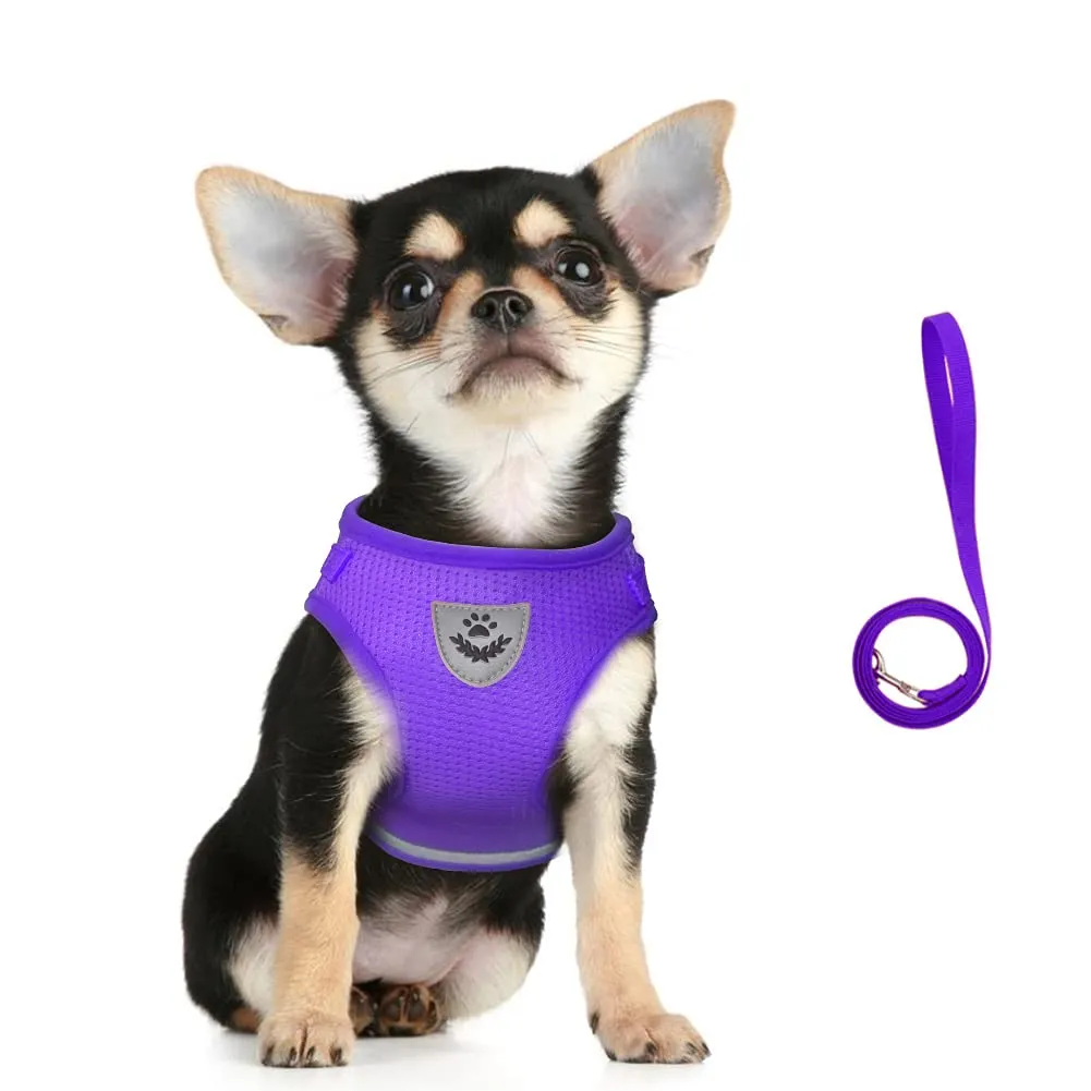 FEimaX Set Imbracatura e Guinzaglio per Cani e Gatti, Pettorina Imbottita Traspirante Riflettente e Regolabile, Viola, XS (Torace 26-29cm) - immagine 4
