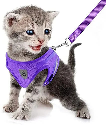 FEimaX Set Imbracatura e Guinzaglio per Cani e Gatti, Imbottita, Traspirante e Riflettente, Viola, Taglia M - immagine 4