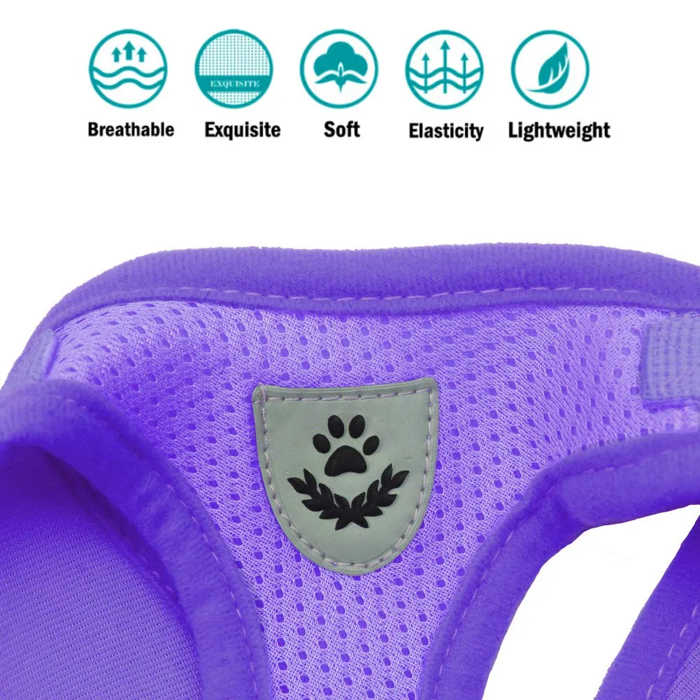 FEimaX Set Imbracatura e Guinzaglio per Cani e Gatti, Imbottita, Traspirante e Riflettente, Viola, Taglia M - immagine 5