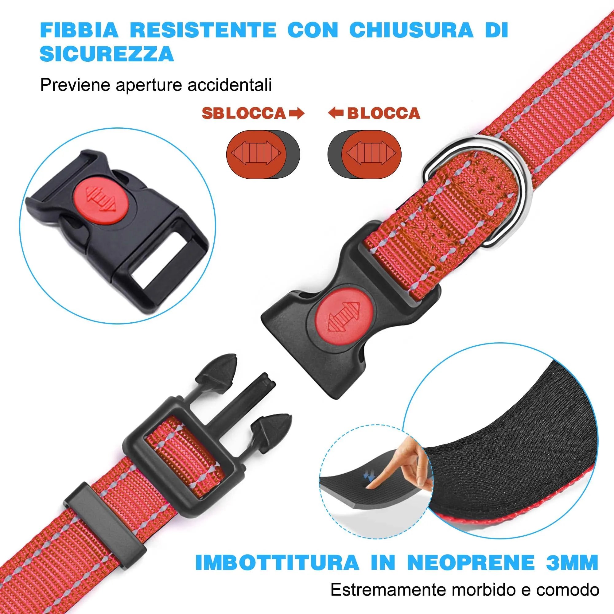 haapaw Collare Riflettente in Nylon e Neoprene per Cani, Rosso, L - immagine 3