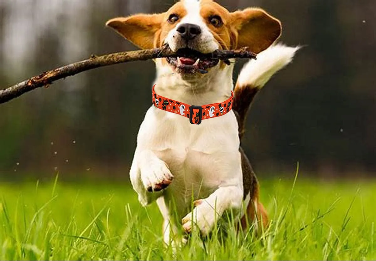 Mihqy Collare per cani di Halloween, Motivo Zucca Fantasma Pipistrello, Taglia M - immagine 7