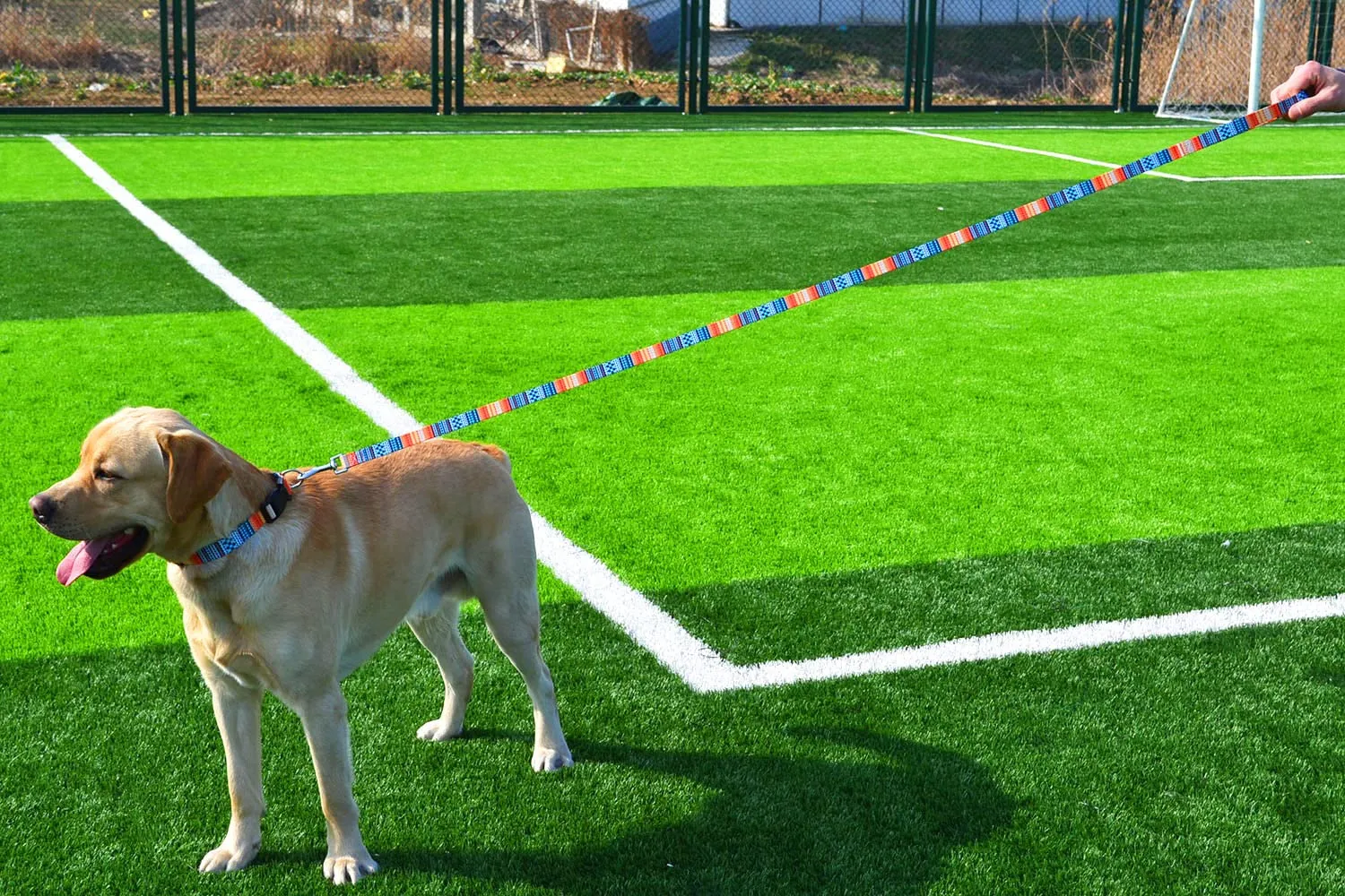 Mihqy Set Collare e Guinzaglio per Cani, Disegno Bohémien Arancia, Taglia M - immagine 6