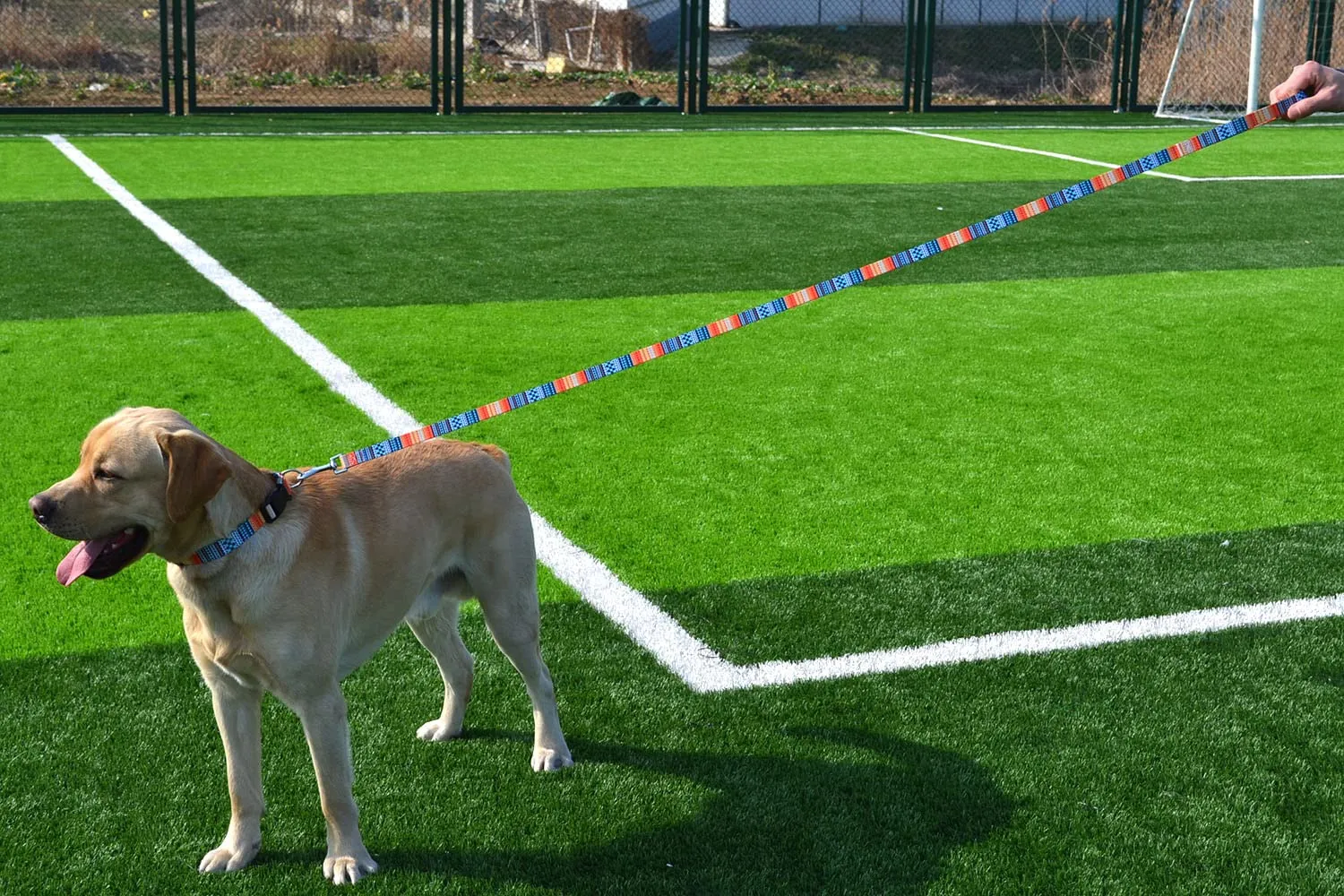 Mihqy Set Collare e Guinzaglio per Cani, Disegno Bohémien Arancia, Taglia L - immagine 6