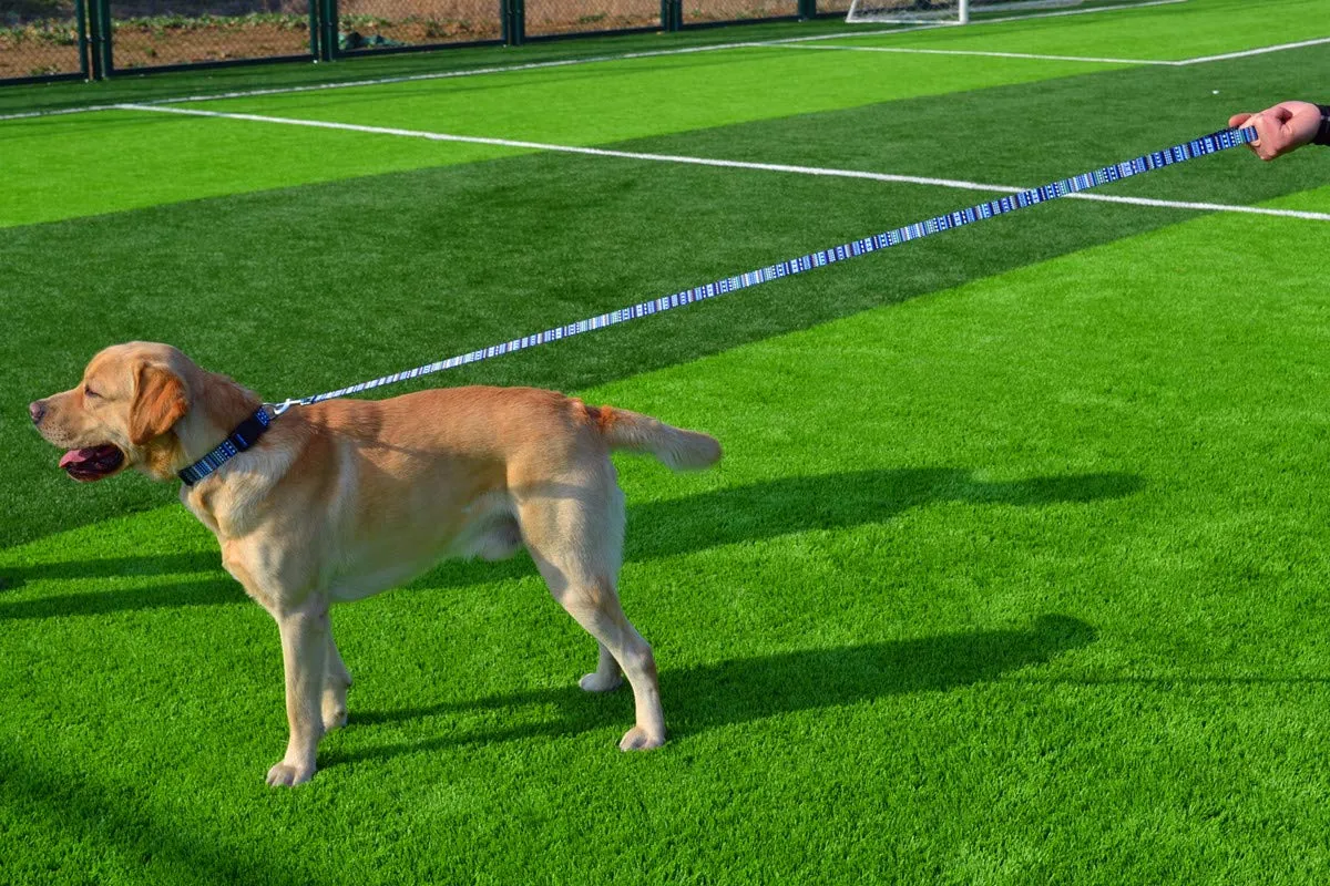Mihqy Set Collare e Guinzaglio per Cani, Blu Bohémien, Taglia L - immagine 6