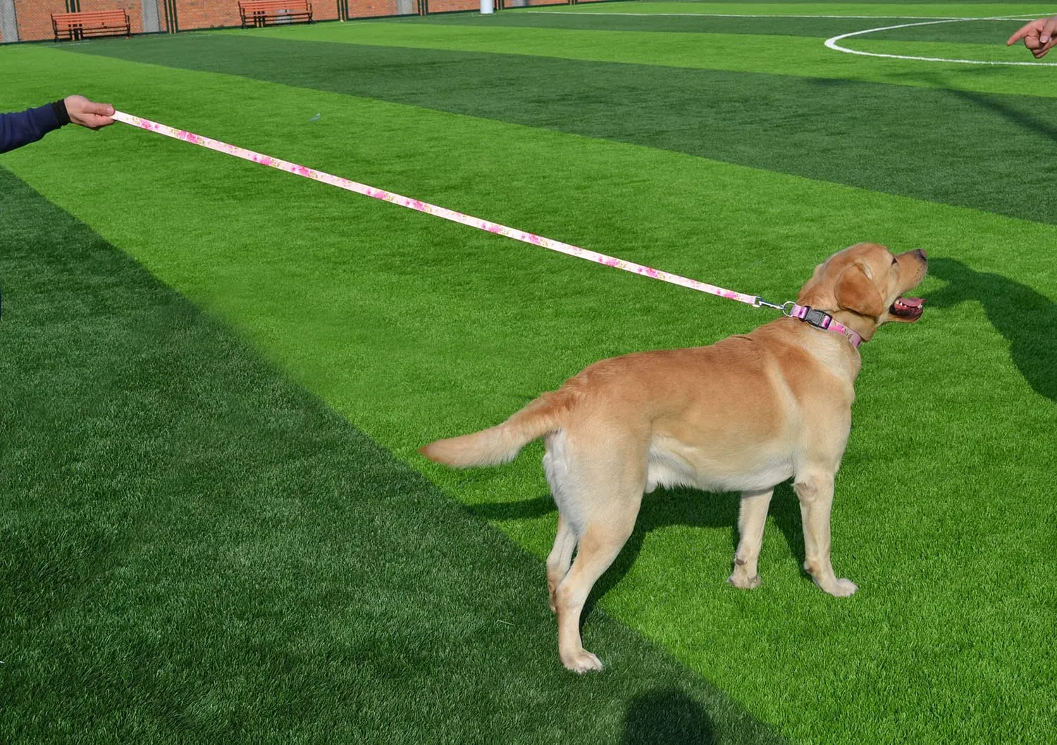 Mihqy Set Collare e Guinzaglio per Cani, Regolabile, Disegno Bohémien Floreale Geometrico Tribale, Set Rosa, Taglia L - immagine 6