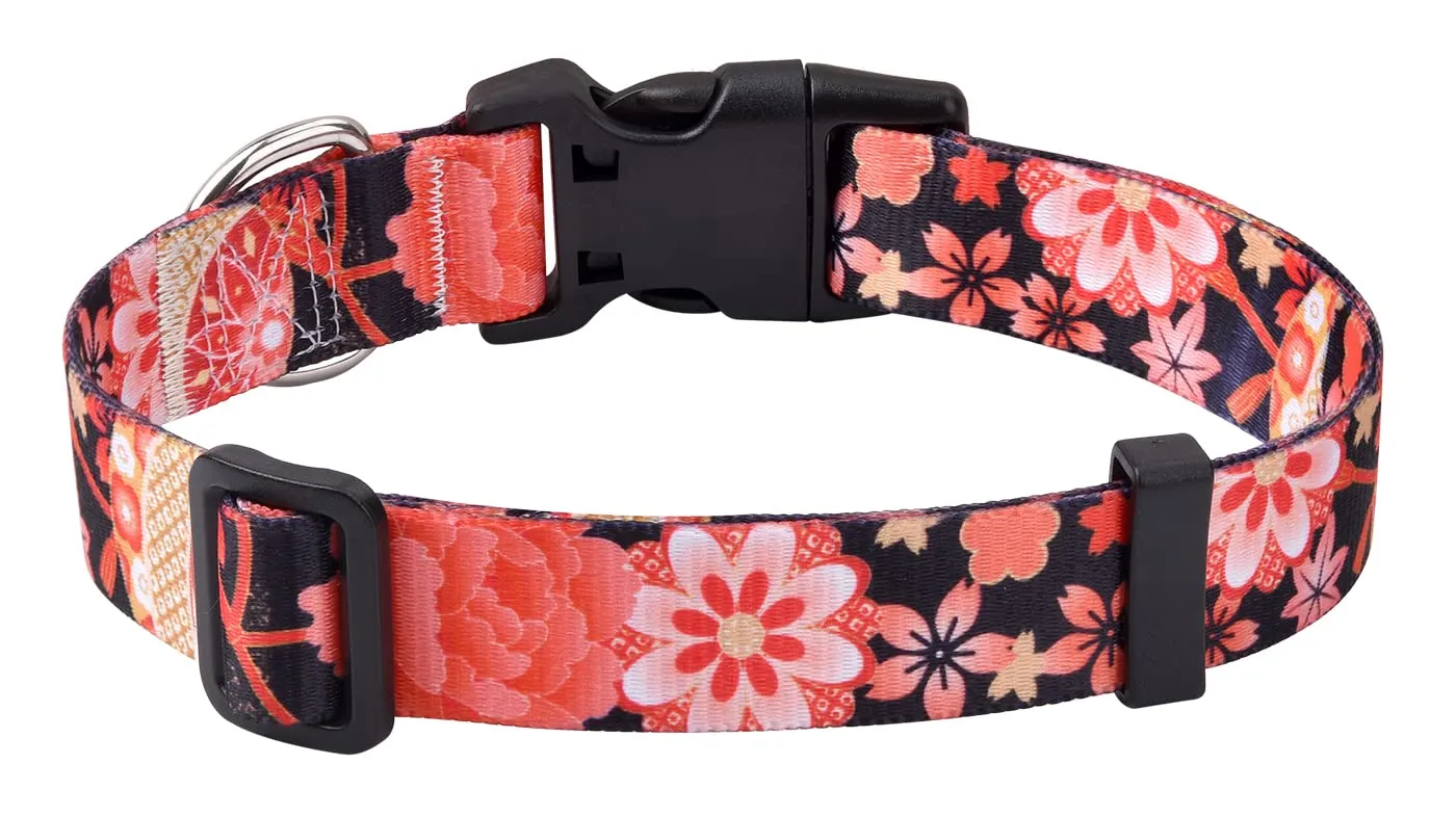Mihqy Collare per Cani e Gatti Bohémien Floreale, Rosso Fiori A, XS - immagine 1