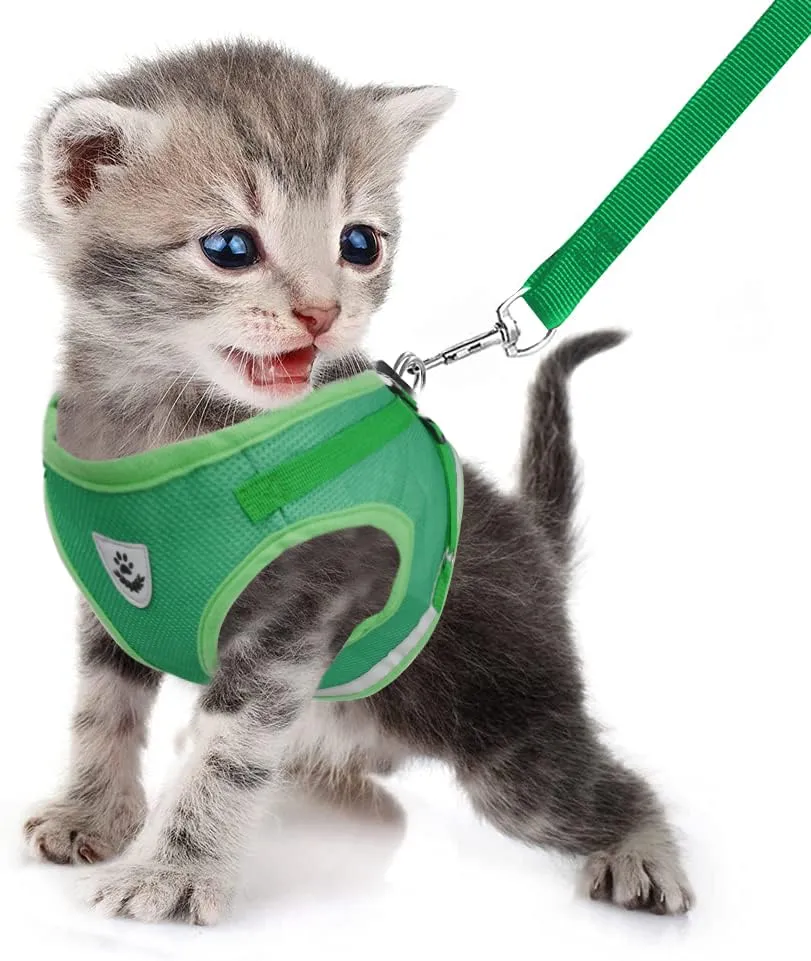 FEimaX Set Imbracatura e Guinzaglio per Cani e Gatti, Pettorina Imbottita Traspirante Regolabile e Riflettente, Verde, M (Torace 35-40cm) - immagine 2
