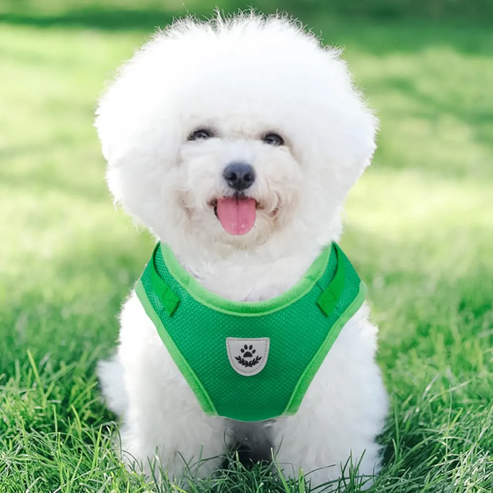 FEimaX Set Imbracatura e Guinzaglio per Cani e Gatti, Pettorina Imbottita Traspirante Regolabile e Riflettente, Verde, M (Torace 35-40cm) - immagine 7