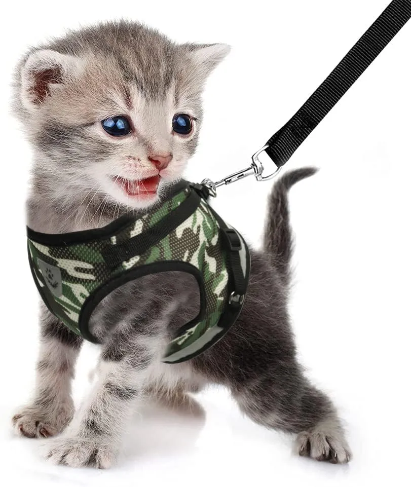 FEimaX Set Imbracatura e Guinzaglio per Cani e Gatti, Imbottita, Traspirante e Riflettente, Camouflage, Taglia M (Torace 35-40cm) - immagine 2