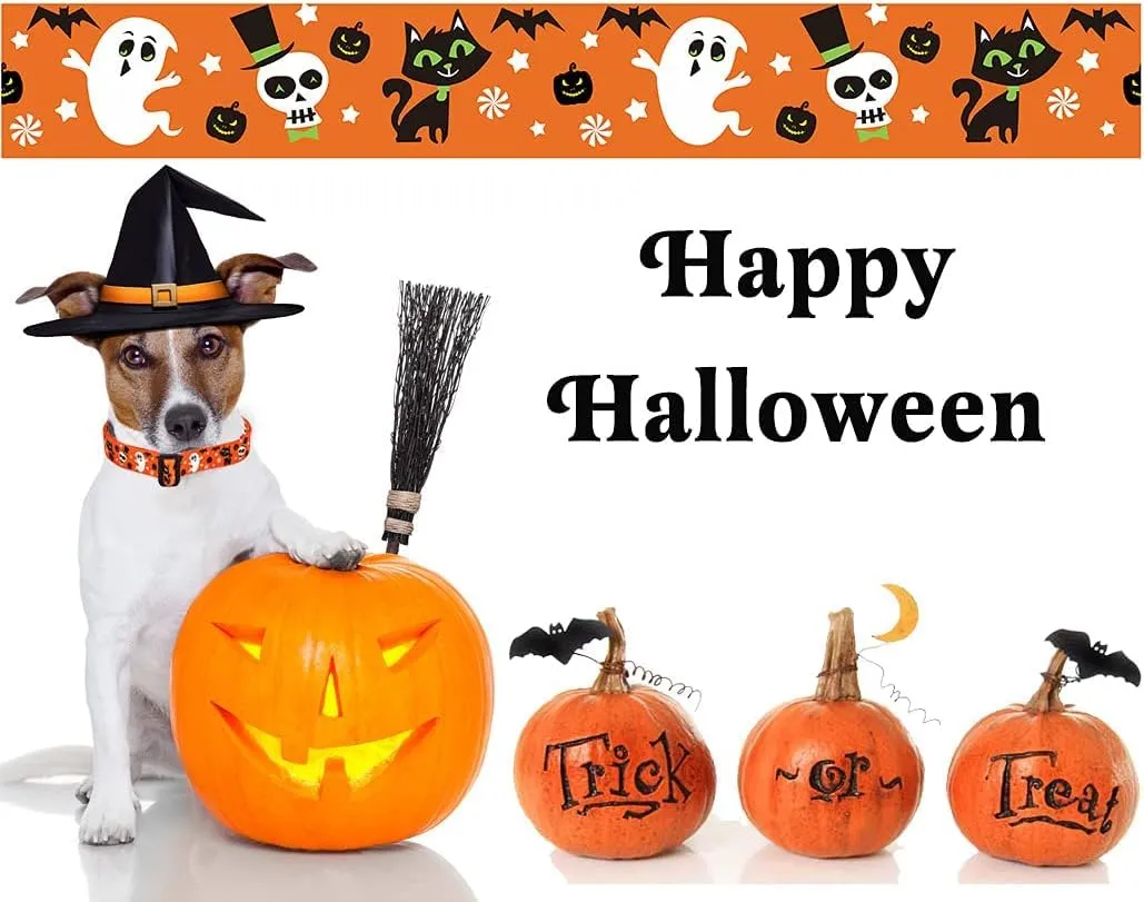 Mihqy Set Collare e Guinzaglio per Cani Halloween Motivo Zucca Fantasma e Pipistrello, Taglia L - immagine 5