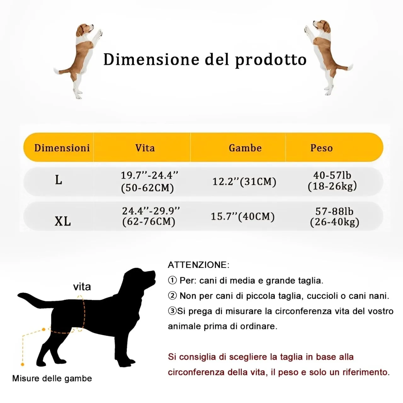 KOMUNJ Imbracatura per Cani per Zampe Posteriori, Cintura Ausiliaria per Cani Anziani, Disabili e Feriti (L) - immagine 2