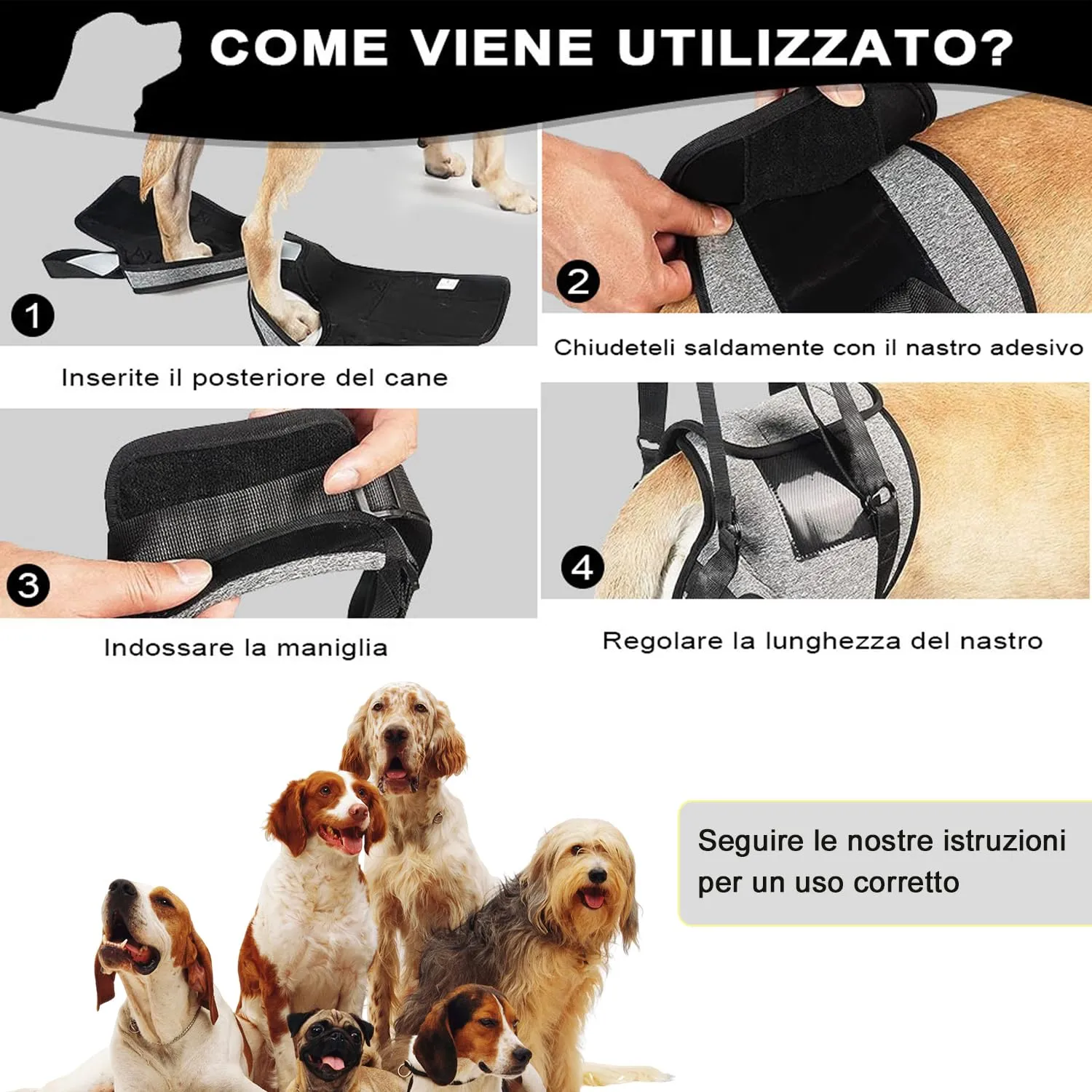 KOMUNJ Imbracatura per Cani per Zampe Posteriori, Cintura Ausiliaria per Cani Anziani, Disabili e Feriti (L) - immagine 4