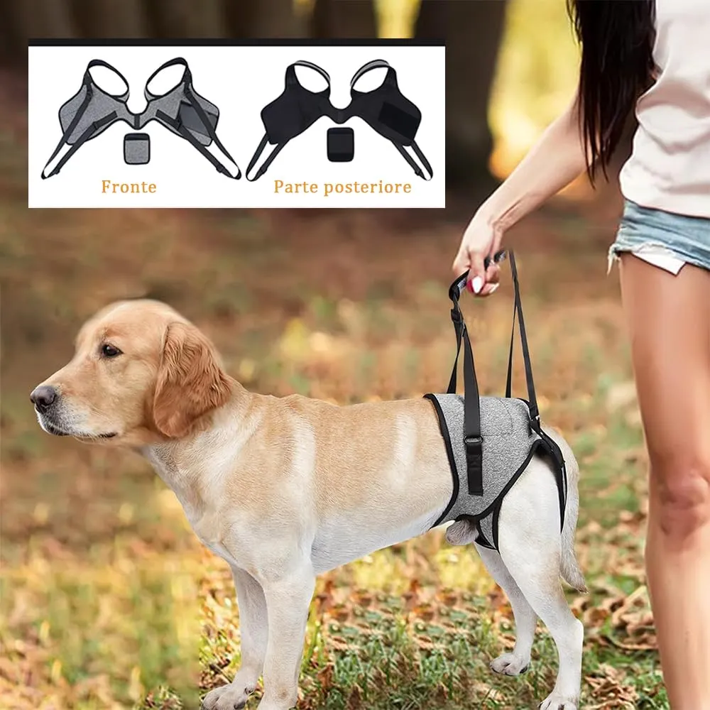 KOMUNJ Imbracatura per Cani per Zampe Posteriori, Cintura Ausiliaria per Cani Anziani, Disabili e Feriti (L) - immagine 6