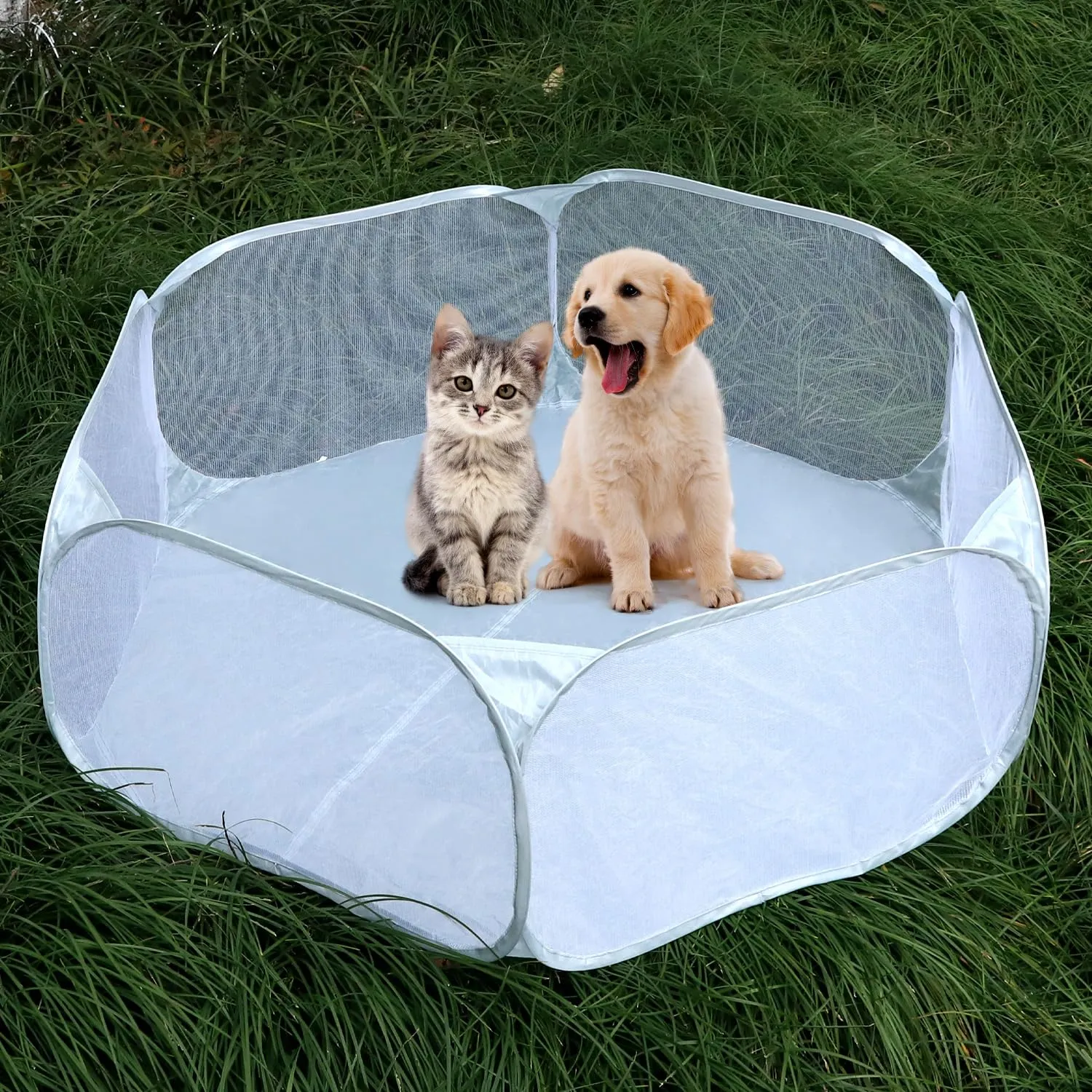 QWORK Recinto per animali domestici pieghevole pop-up per porcellini d'India, conigli, criceti, gatti e cani - immagine 2
