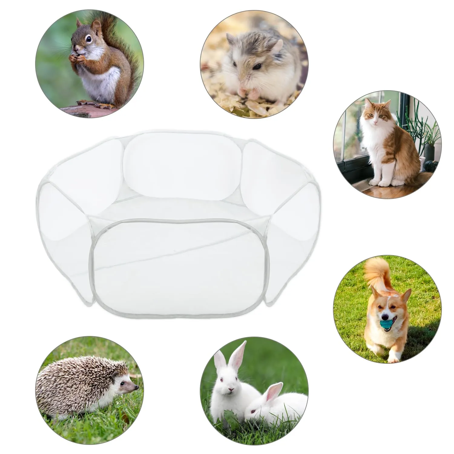 QWORK Recinto per animali domestici pieghevole pop-up per porcellini d'India, conigli, criceti, gatti e cani - immagine 5