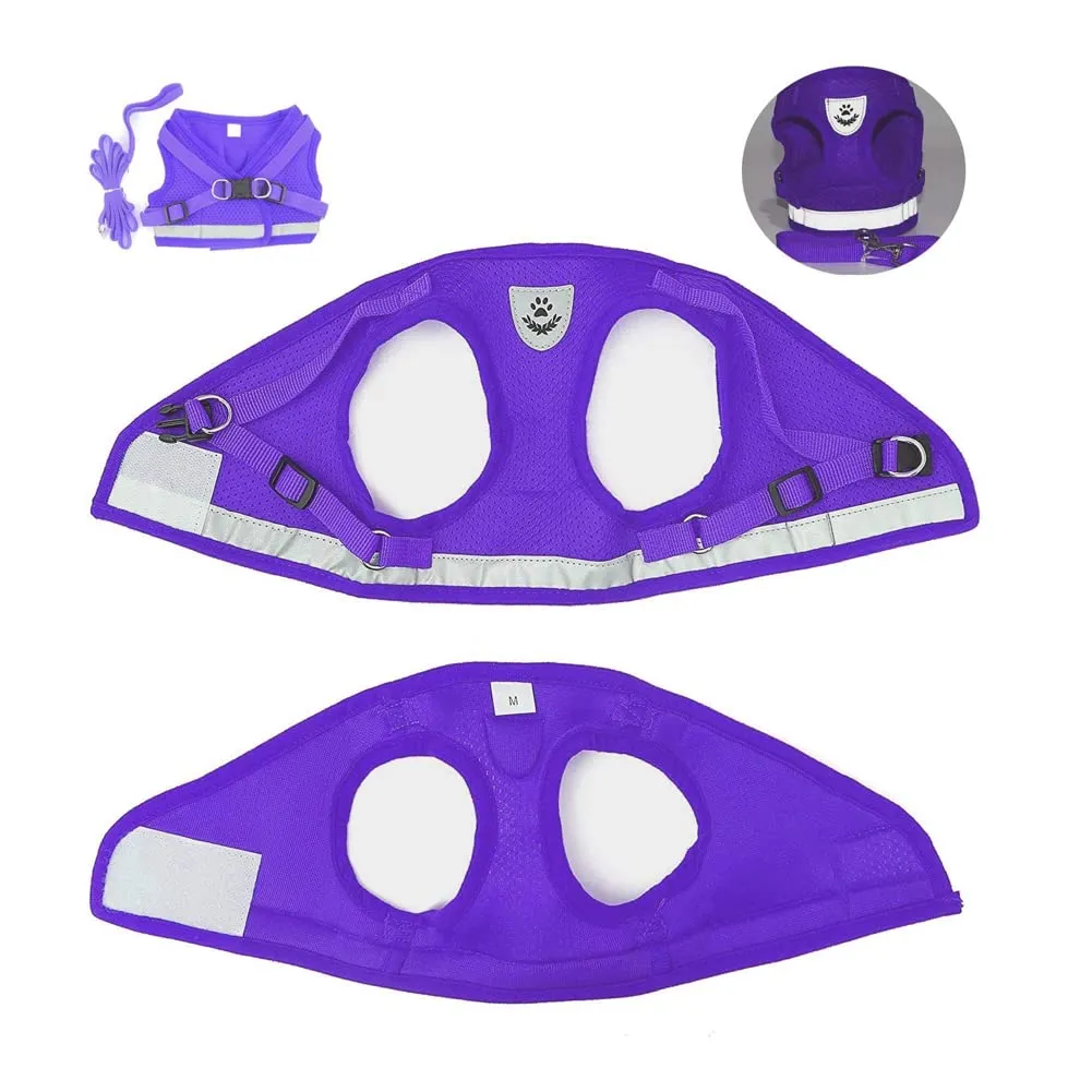 FEimaX Set Imbracatura e Guinzaglio per Cani e Gatti, Pettorina Imbottita Traspirante e Riflettente, Viola, XXS (Torace 20-25cm) - immagine 7