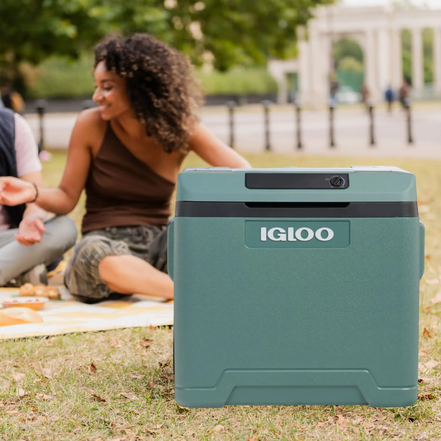 Igloo IE42 Frigo Elettrico 12V/230V 42L Verde - immagine 2