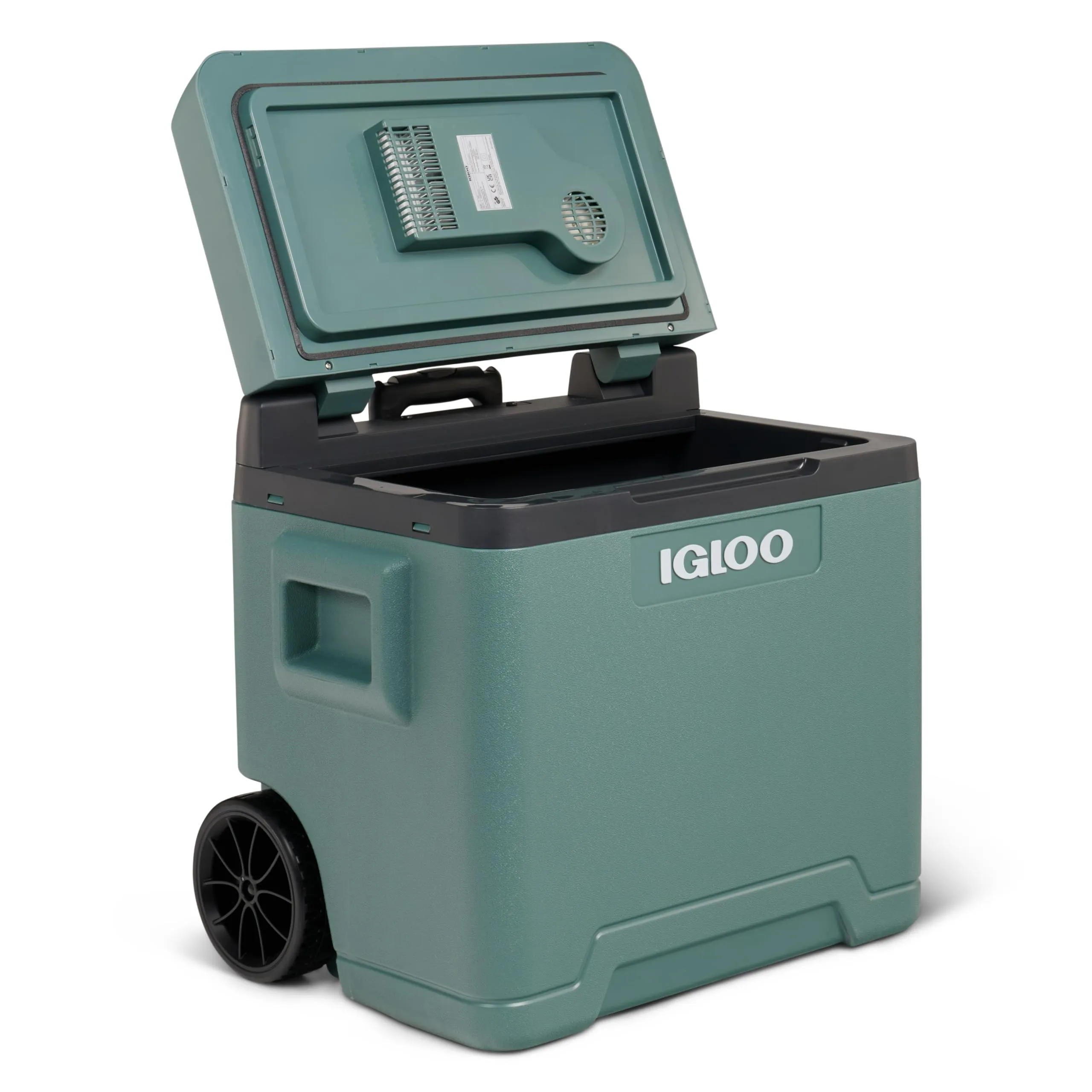 Igloo IE42 Frigo Elettrico 12V/230V 42L Verde - immagine 5
