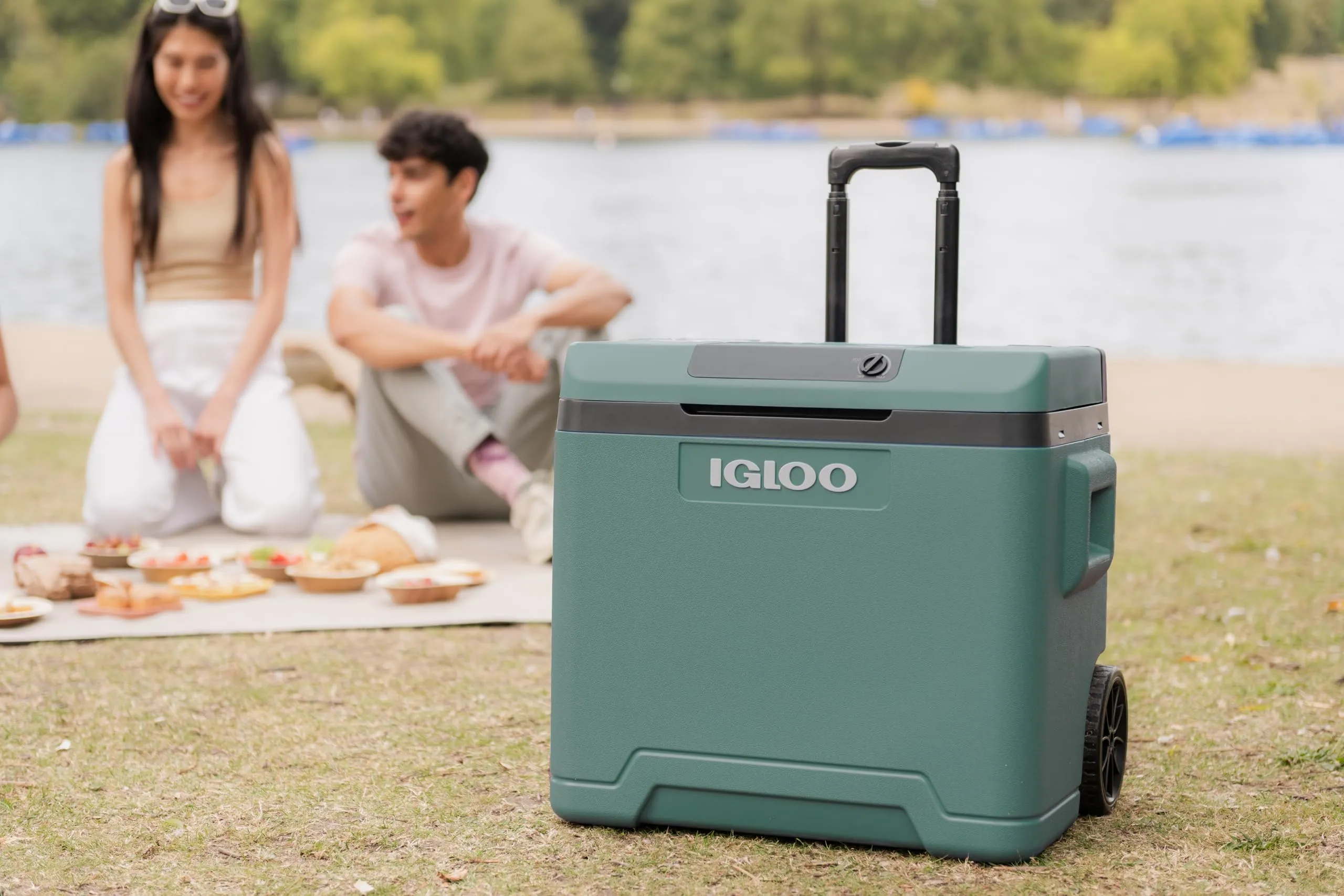 Igloo IE42 Frigo Elettrico 12V/230V 42L Verde - immagine 6