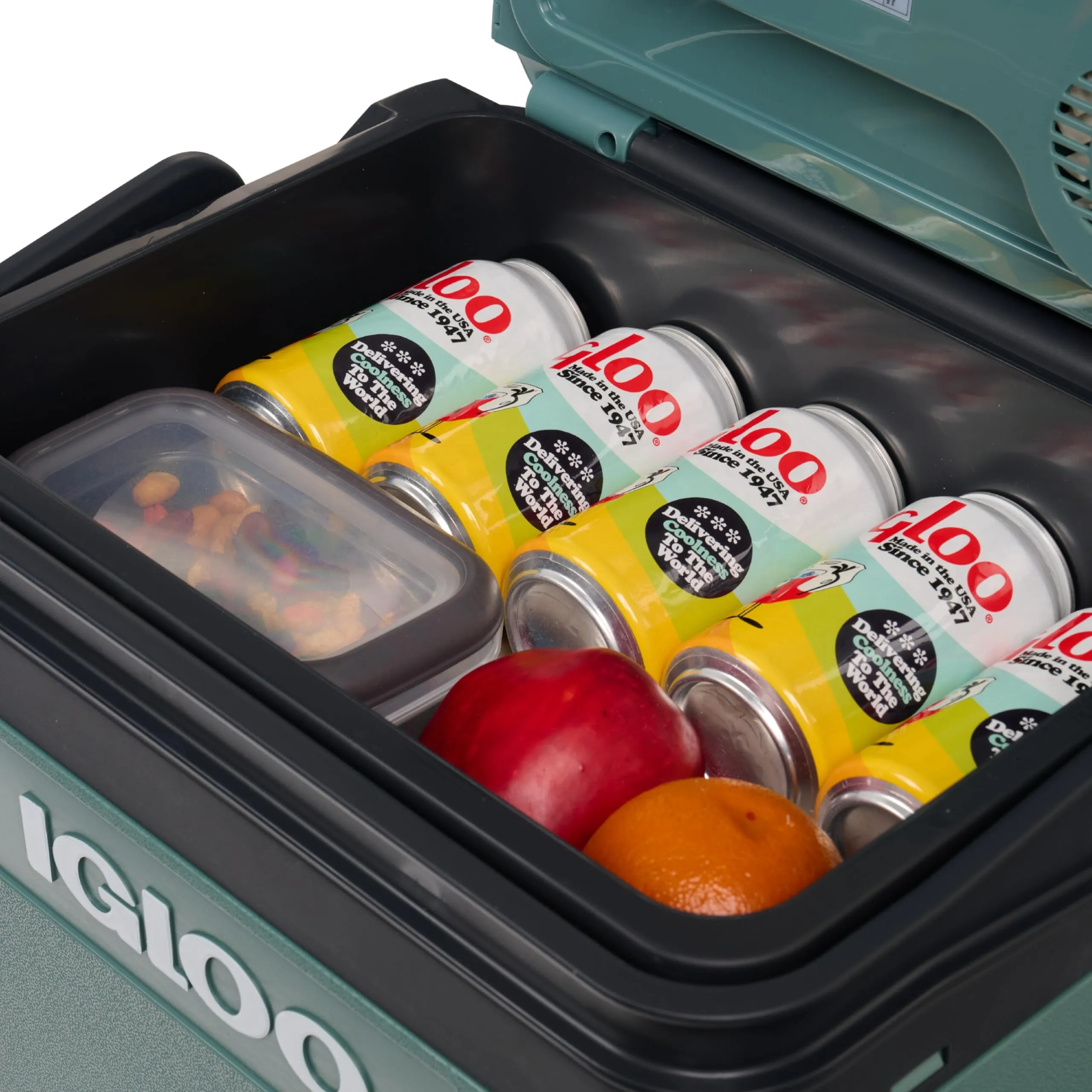 Igloo IE24 Frigo Elettrico 12V/230V 24L - immagine 4