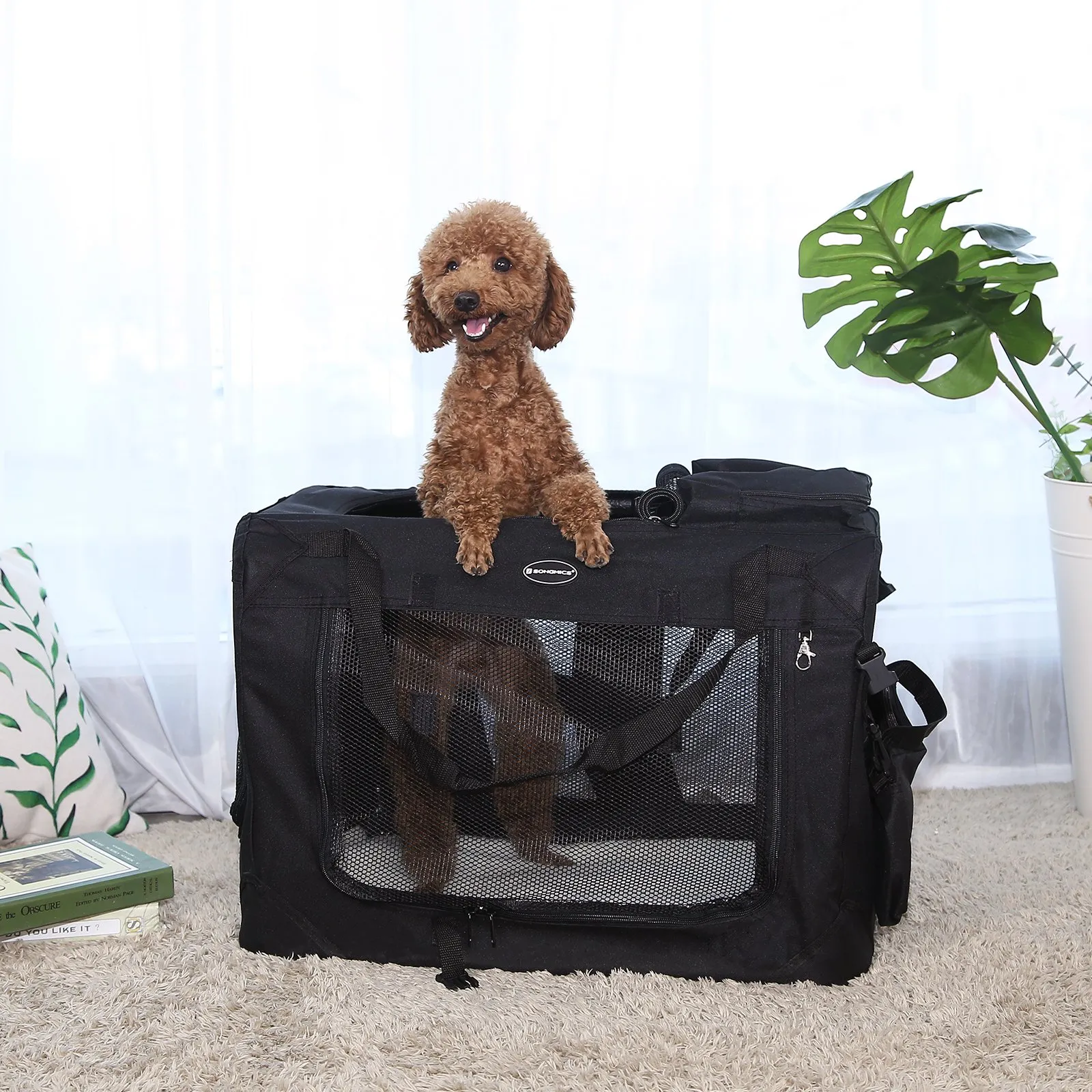 Feandrea Trasportino per Cani Pieghevole, Taglia XL, 81 x 58 x 58 cm, Nero PDC80H - immagine 2