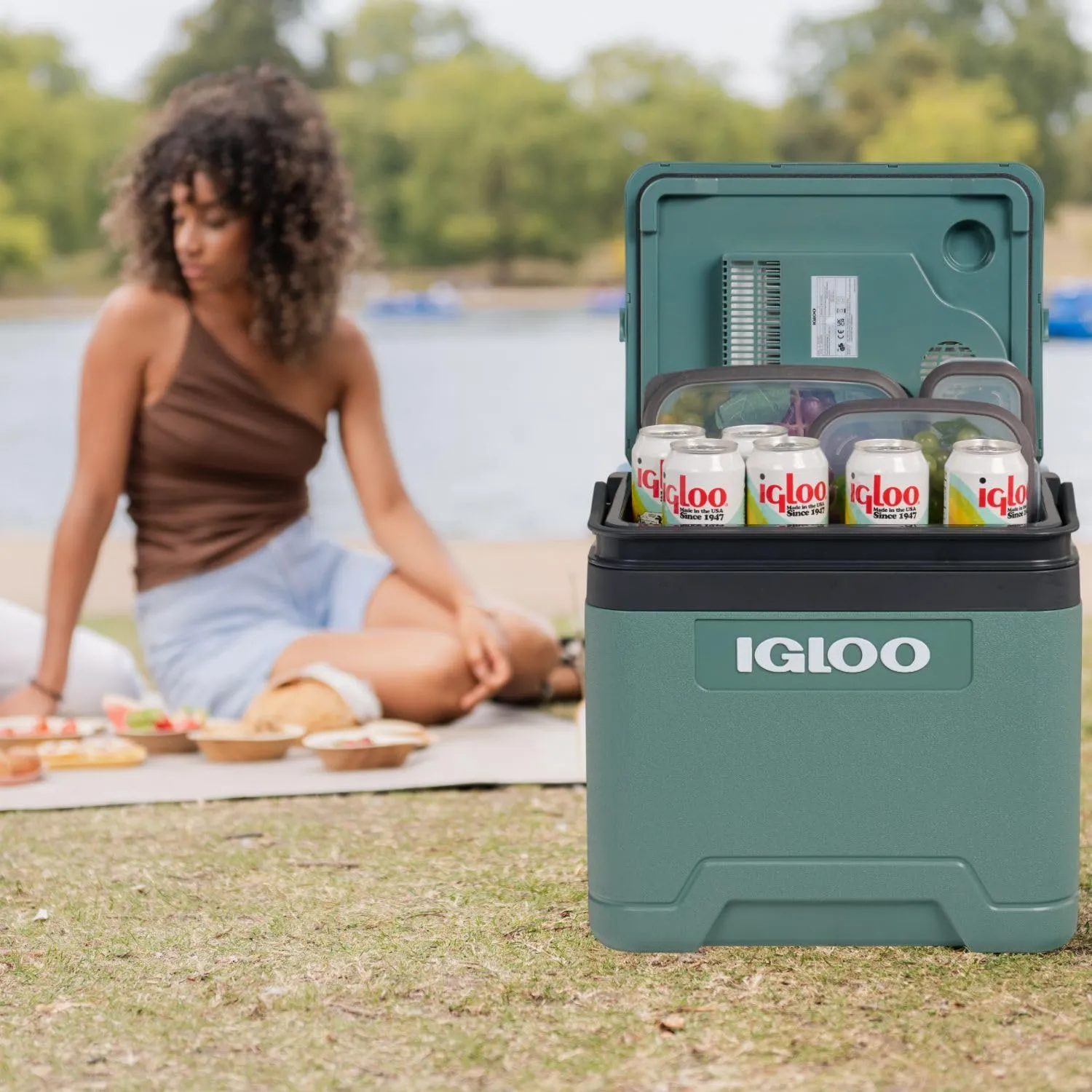 Igloo IE27 Frigo Elettrico 12V/230V 27L - immagine 2