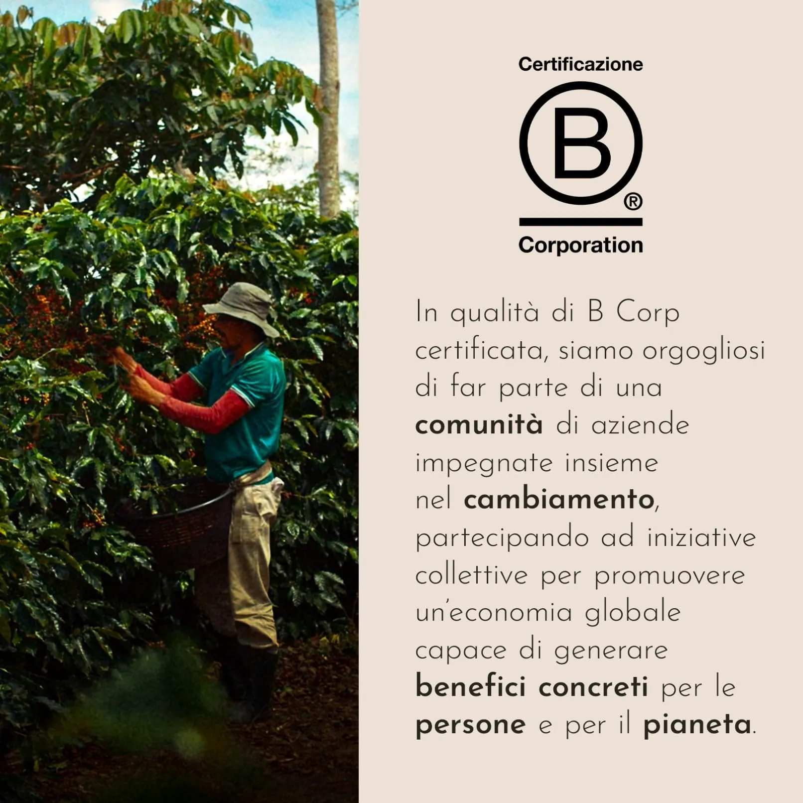 illy Caffè Macinato per Espresso Tostato Intenso, 250g - immagine 5