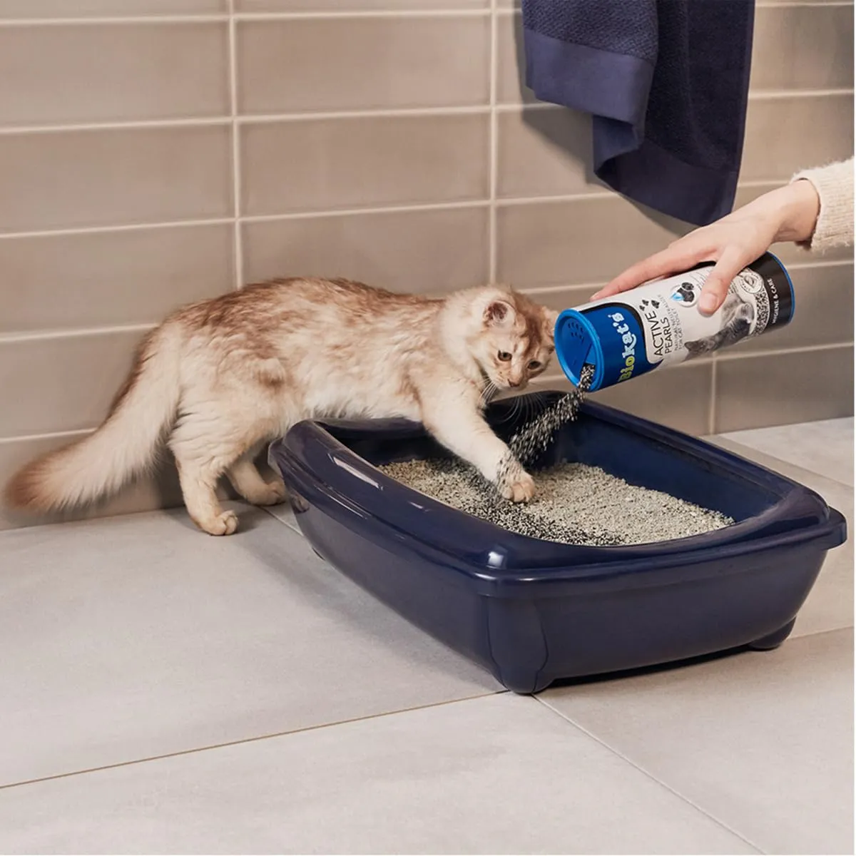 Biokat's Active Pearls Complemento Lettiera con Carbone Attivo, 700 ml - immagine 4