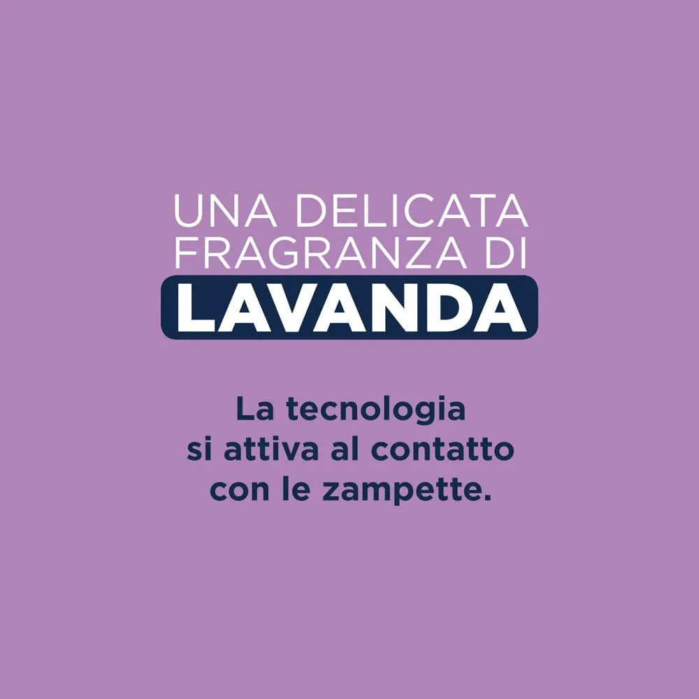 Ever Clean Lettiera Agglomerante alla Lavanda, 10 Litri - immagine 3