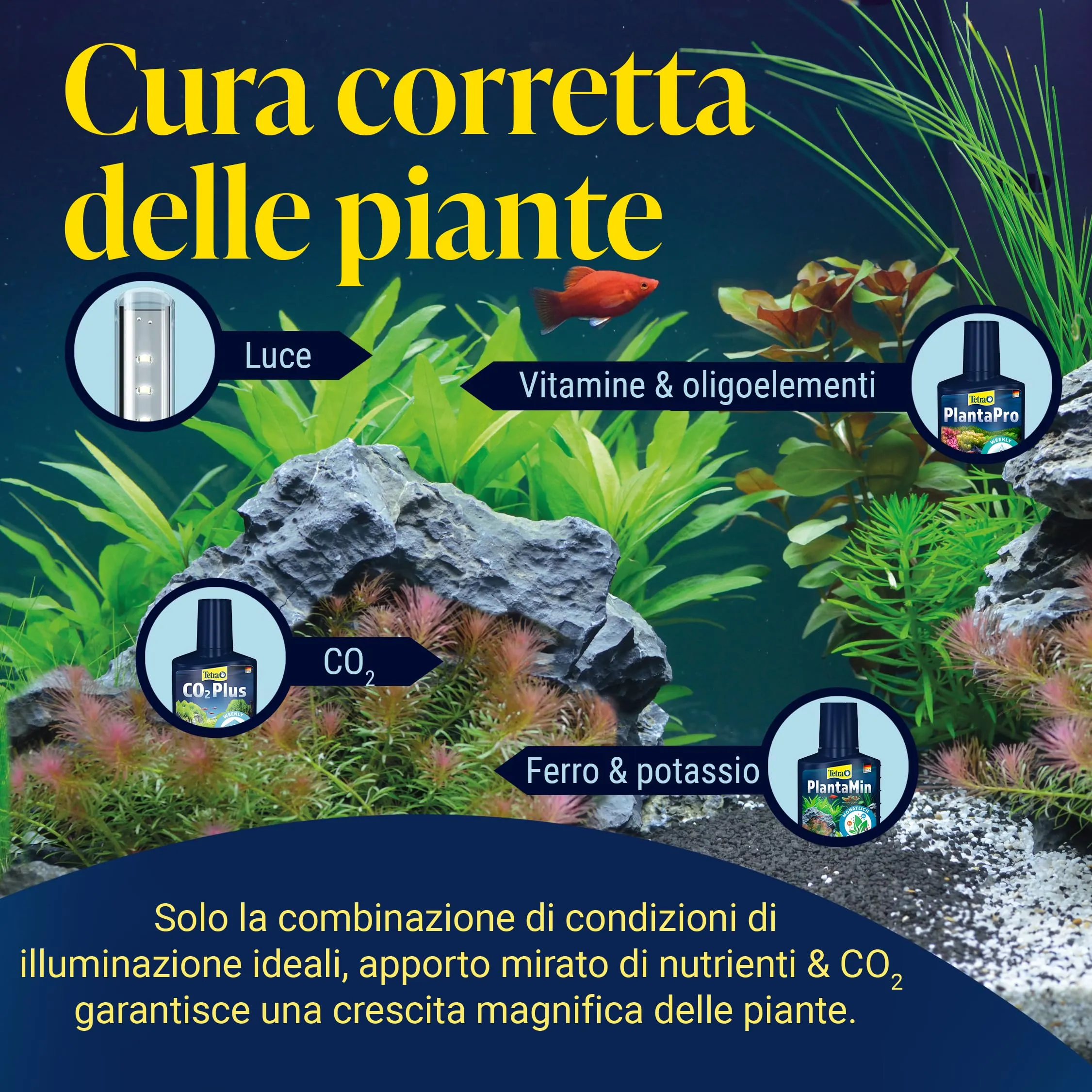 Tetra PlantaMin 500 ml - immagine 8