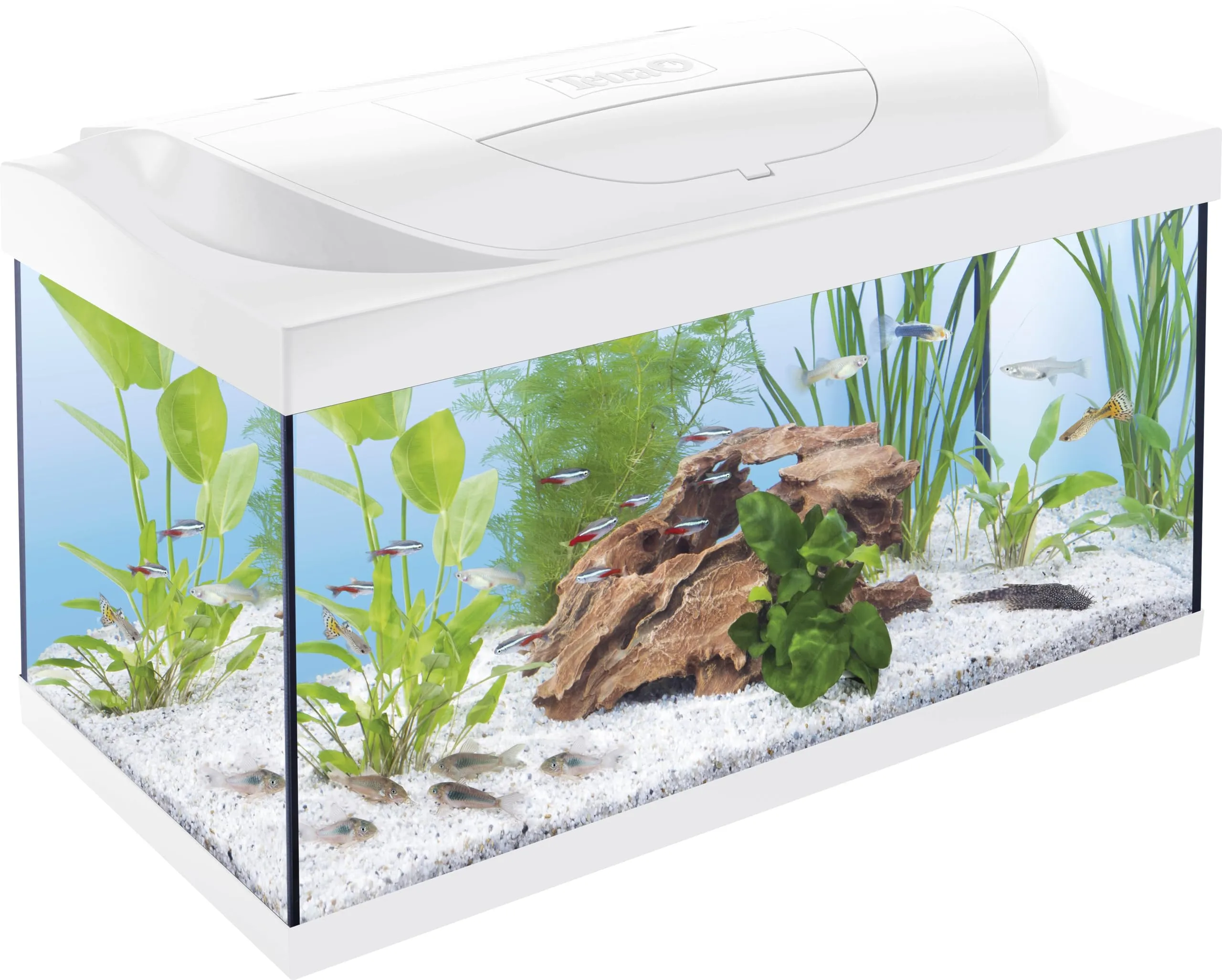 Tetra Starter Line 54 L Acquario Set con Illuminazione LED, Nero - immagine 1