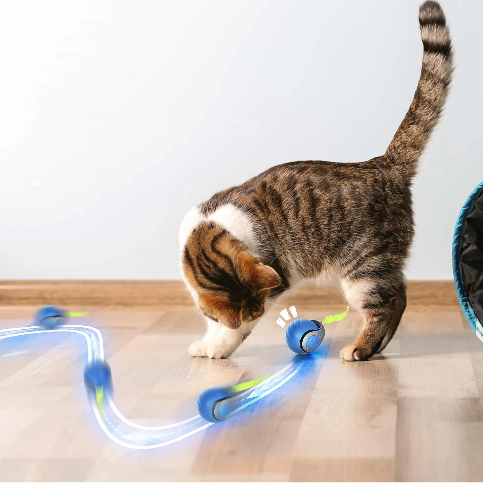 Gerbala Palla Elettrica Interattiva per Gatti e Cani, Automatica e Intelligente (Blu) - immagine 3