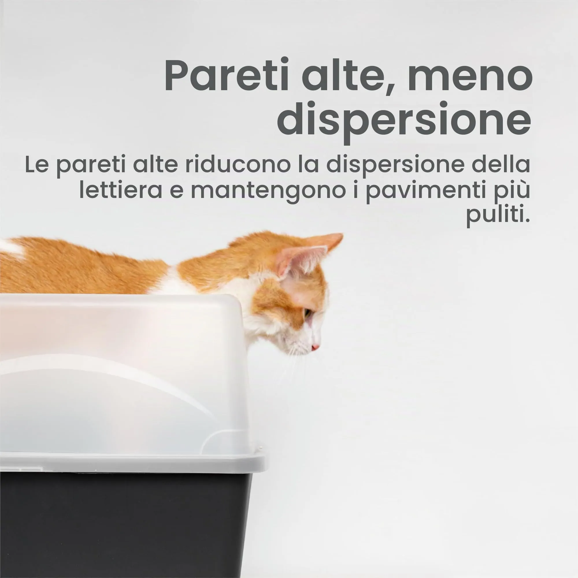 Iris Ohyama Vassoio per Lettiera per Gatti con Paletta, Nero, DDCLH-12 - immagine 4