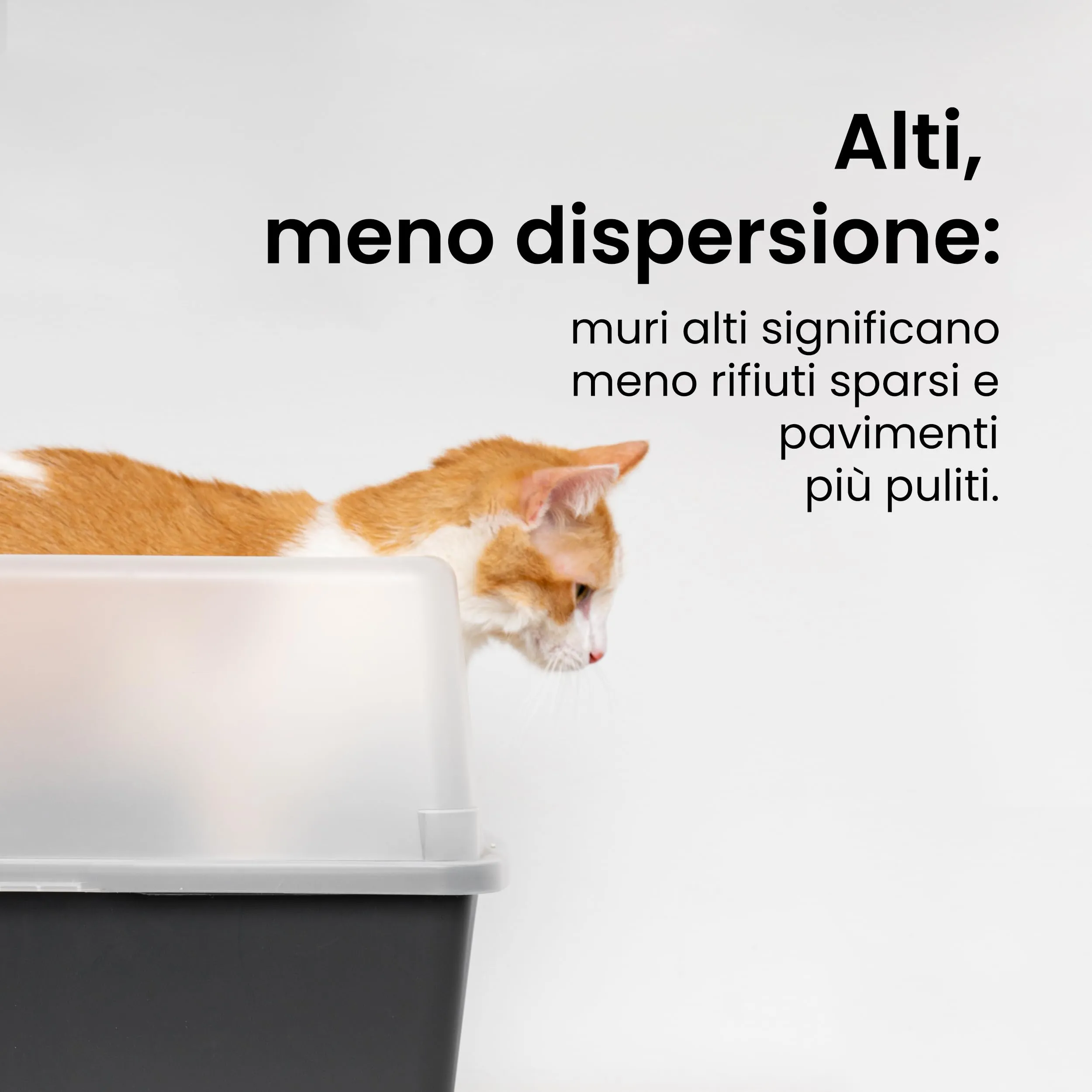 Iris Ohyama Vassoio per Lettiera per Gatti con Paletta, Grigio, CLH-12 - immagine 3