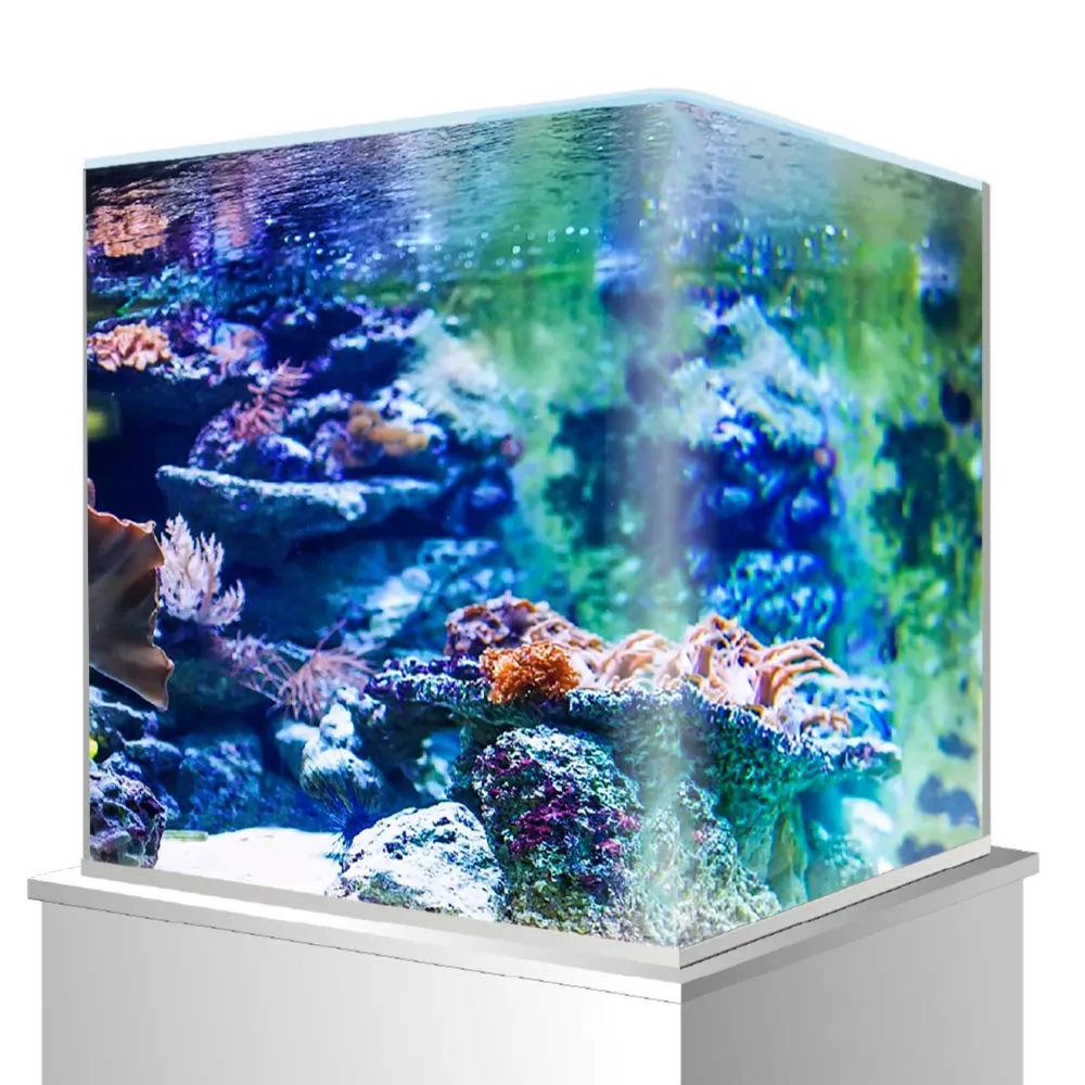 Amtra Nanotank 60 - Acquario 60 Litri in Vetro Extra Chiaro 38 x 38 x 43 cm - immagine 2