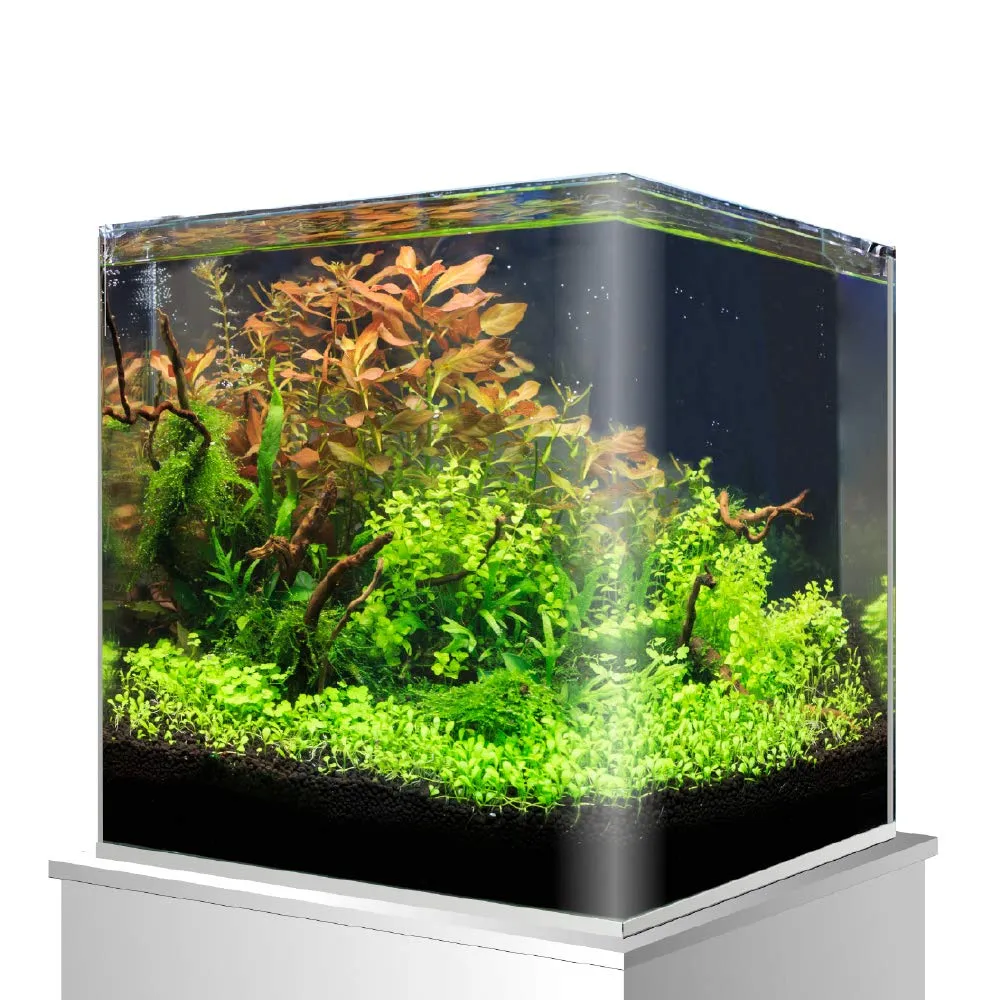 Amtra Nanotank 60 - Acquario 60 Litri in Vetro Extra Chiaro 38 x 38 x 43 cm - immagine 3