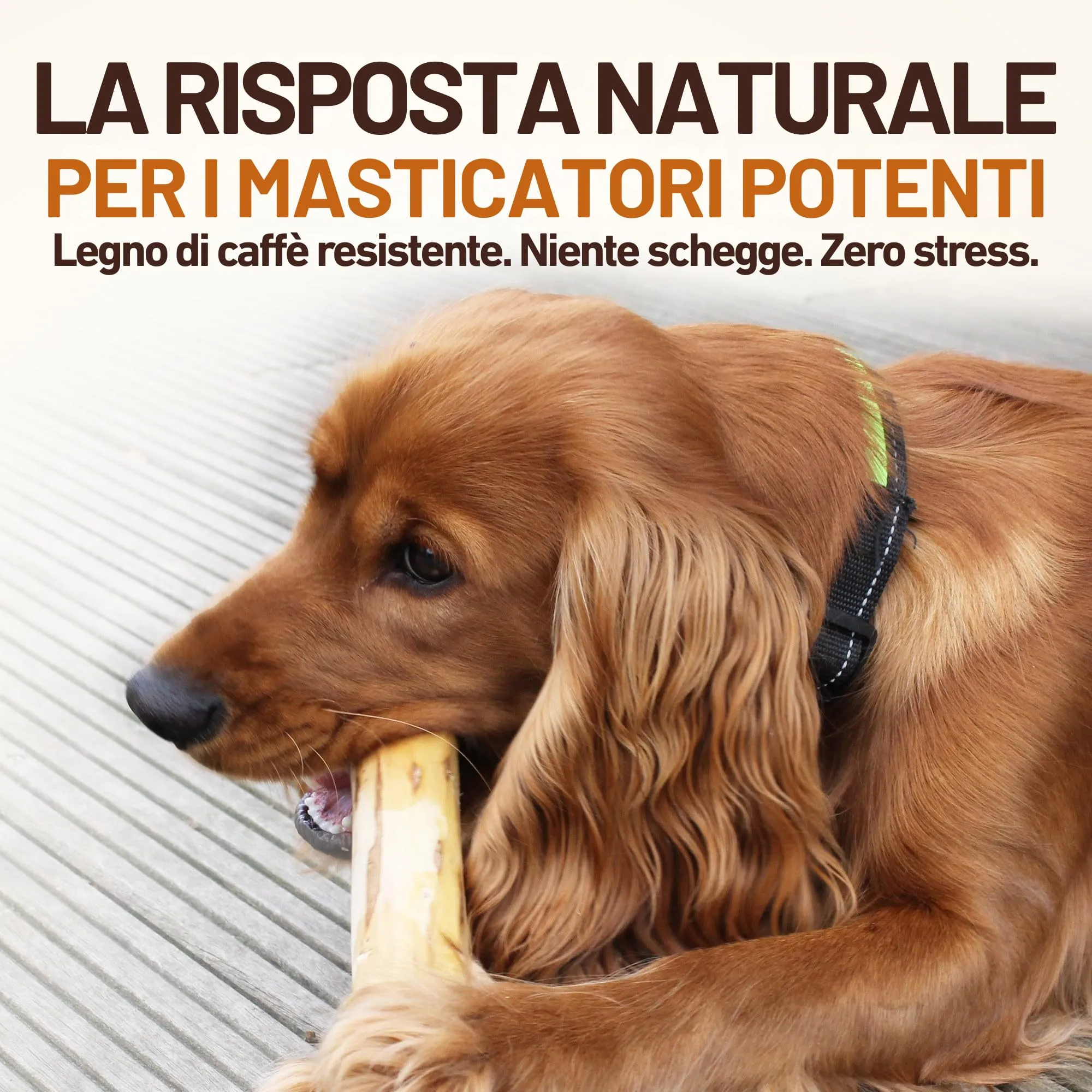 Wildfang Legno di Caffè per Cani, Taglia M (15-25 kg), Confezione da 3 - immagine 4