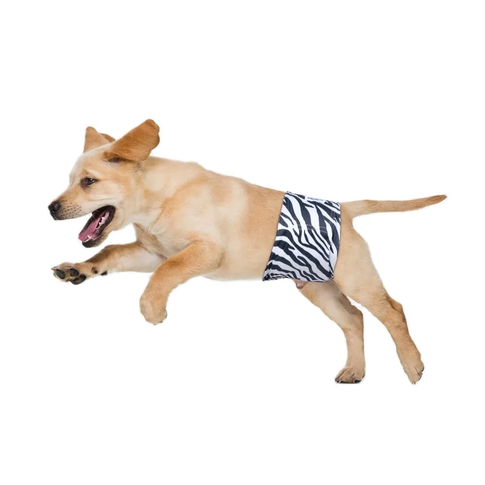 MICOOYO Pannolini Riutilizzabili per Cani Maschi, Confezione da 3, Taglia S, Grassland - immagine 5