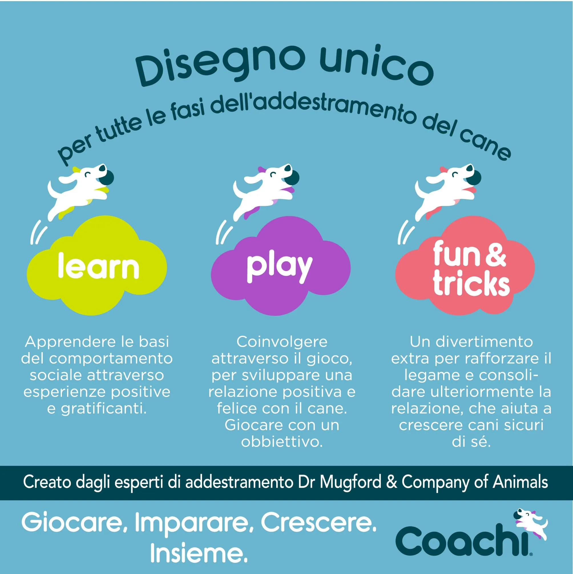 Coachi Tuggi Spider per cani - immagine 5