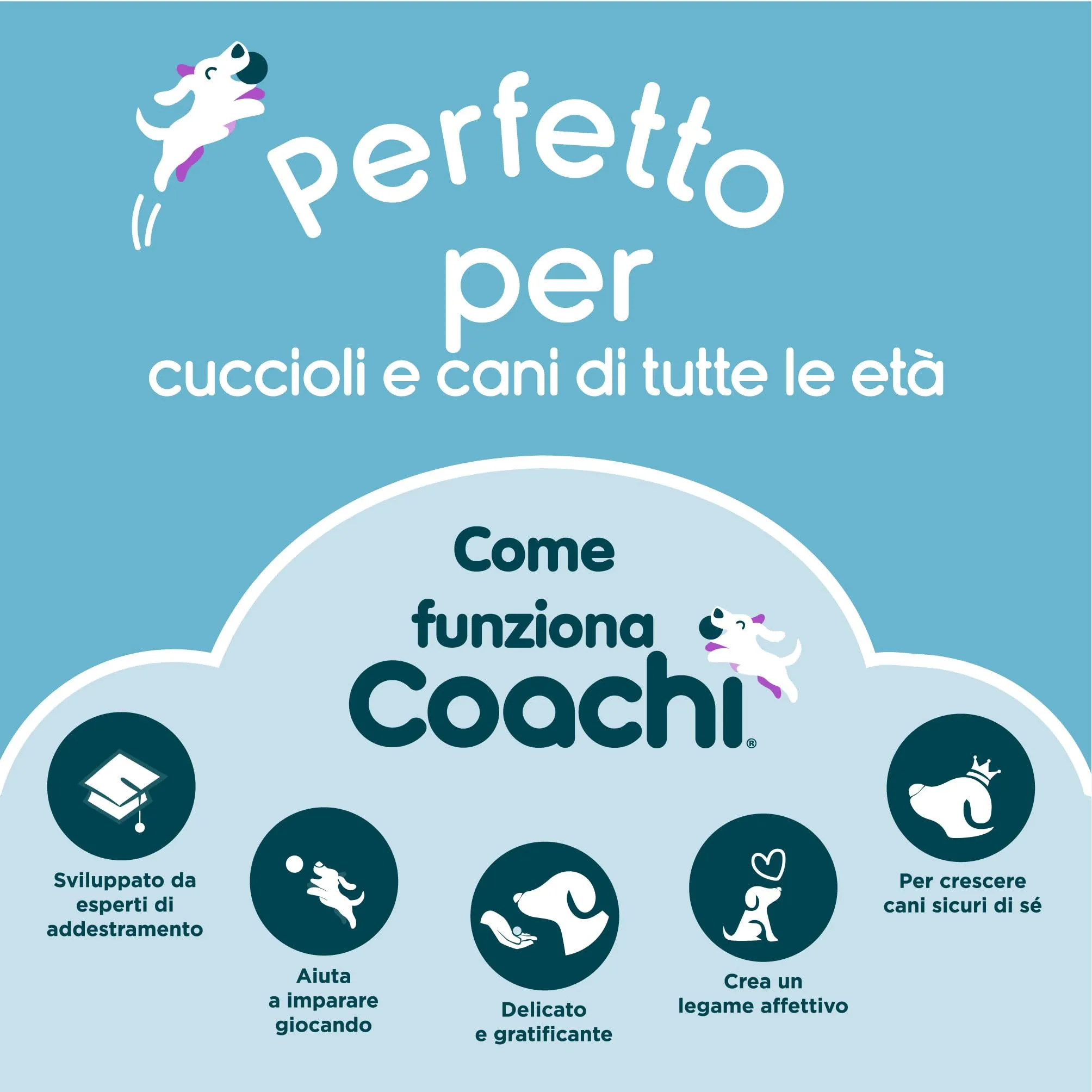 Coachi Tuggi Ball per cani - immagine 6