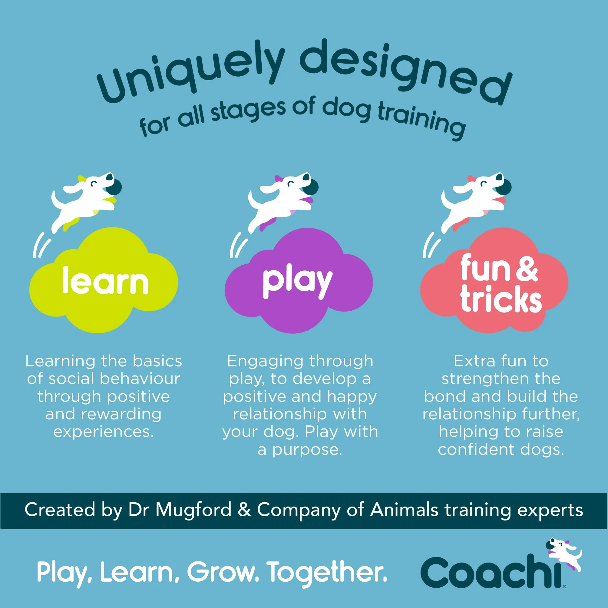 Coachi Chase & Crinkle per cani - immagine 5